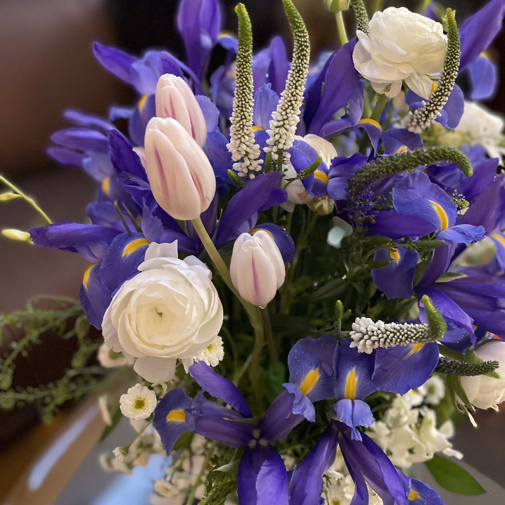 Gentle white and cold blue . Gorgeous spring composition . It&rsquo;s a