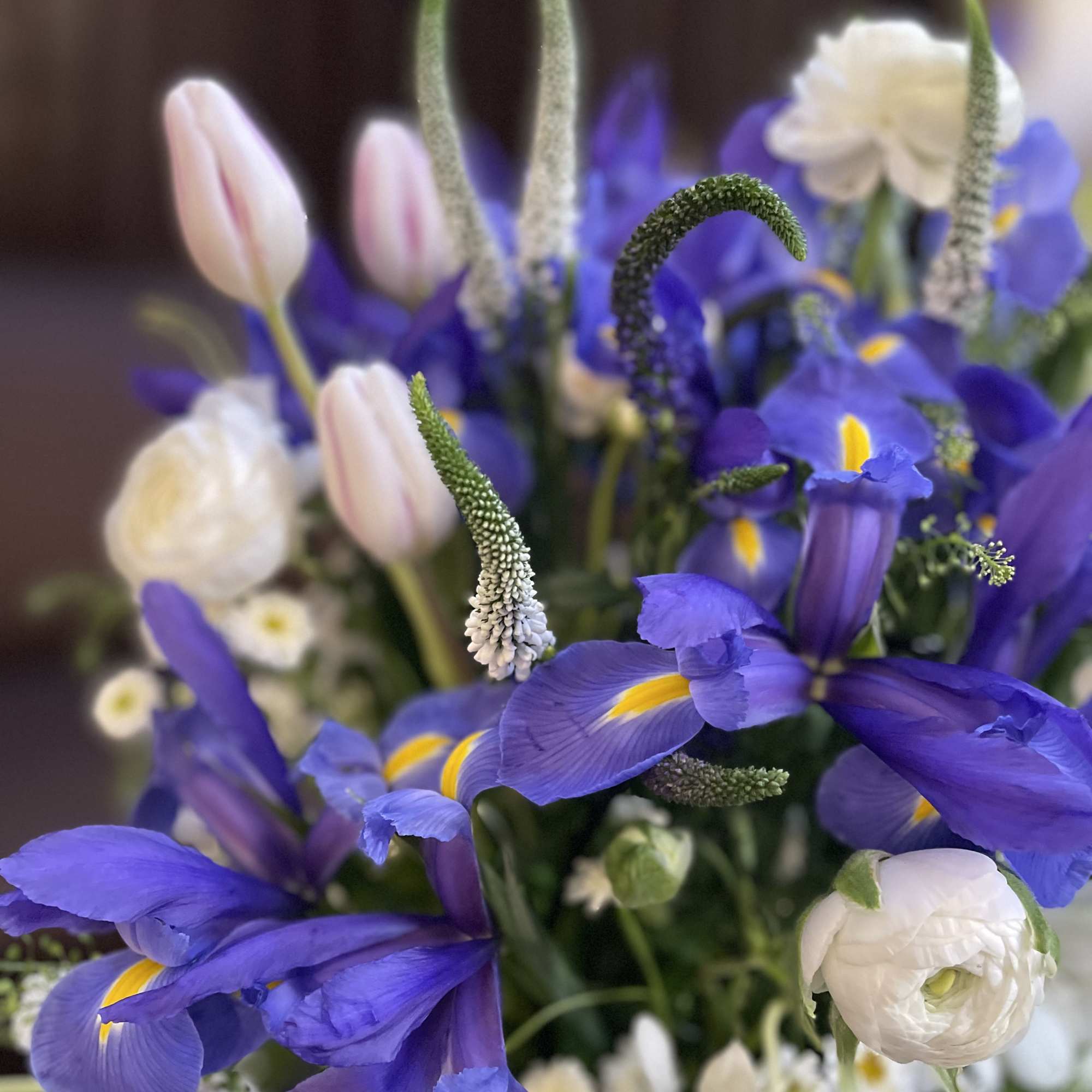 Gentle white and cold blue . Gorgeous spring composition . It&rsquo;s a