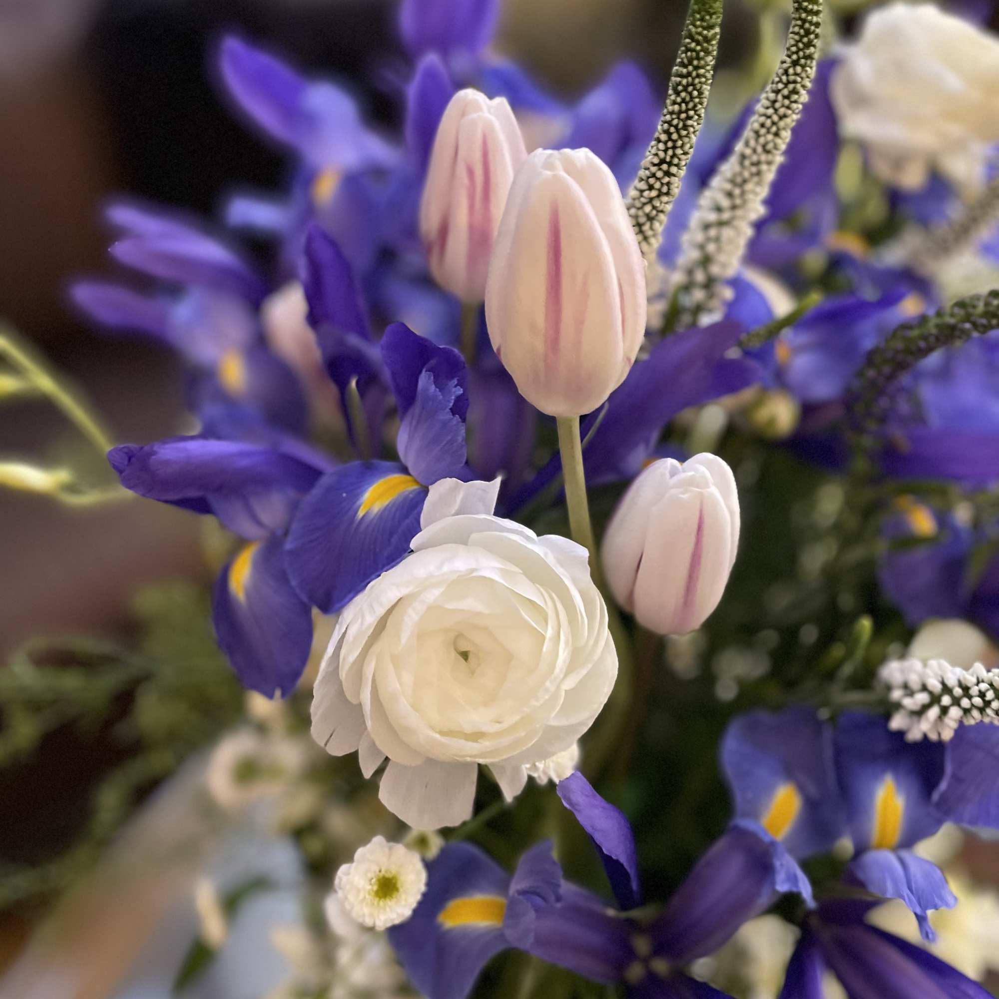 Gentle white and cold blue . Gorgeous spring composition . It&rsquo;s a