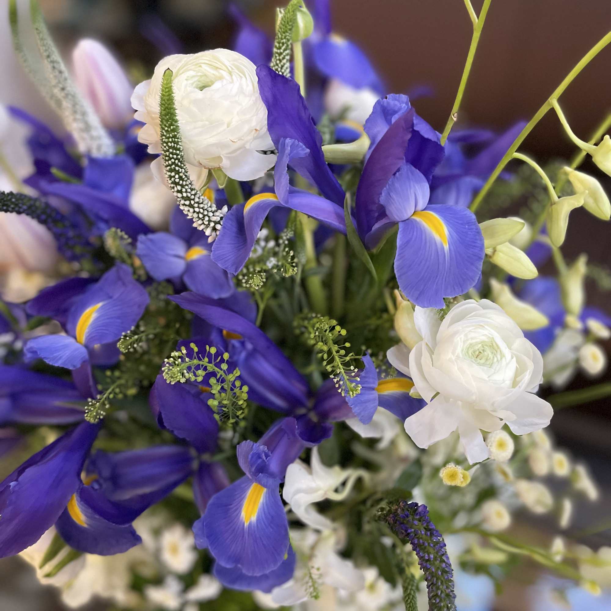 Gentle white and cold blue . Gorgeous spring composition . It&rsquo;s a