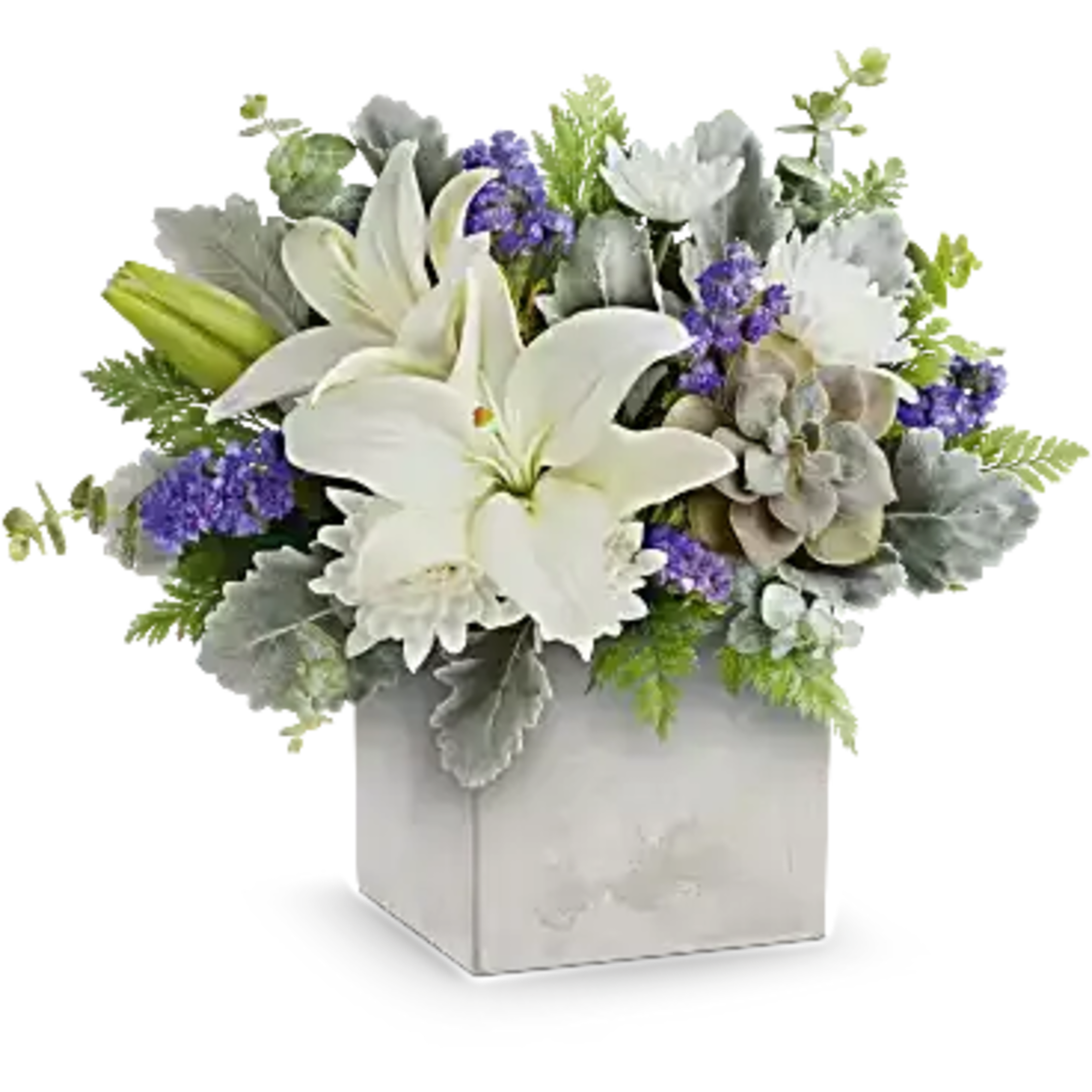 Sleek yet sweet! This stylish arrangement pairs a sculptural succulent with delicate