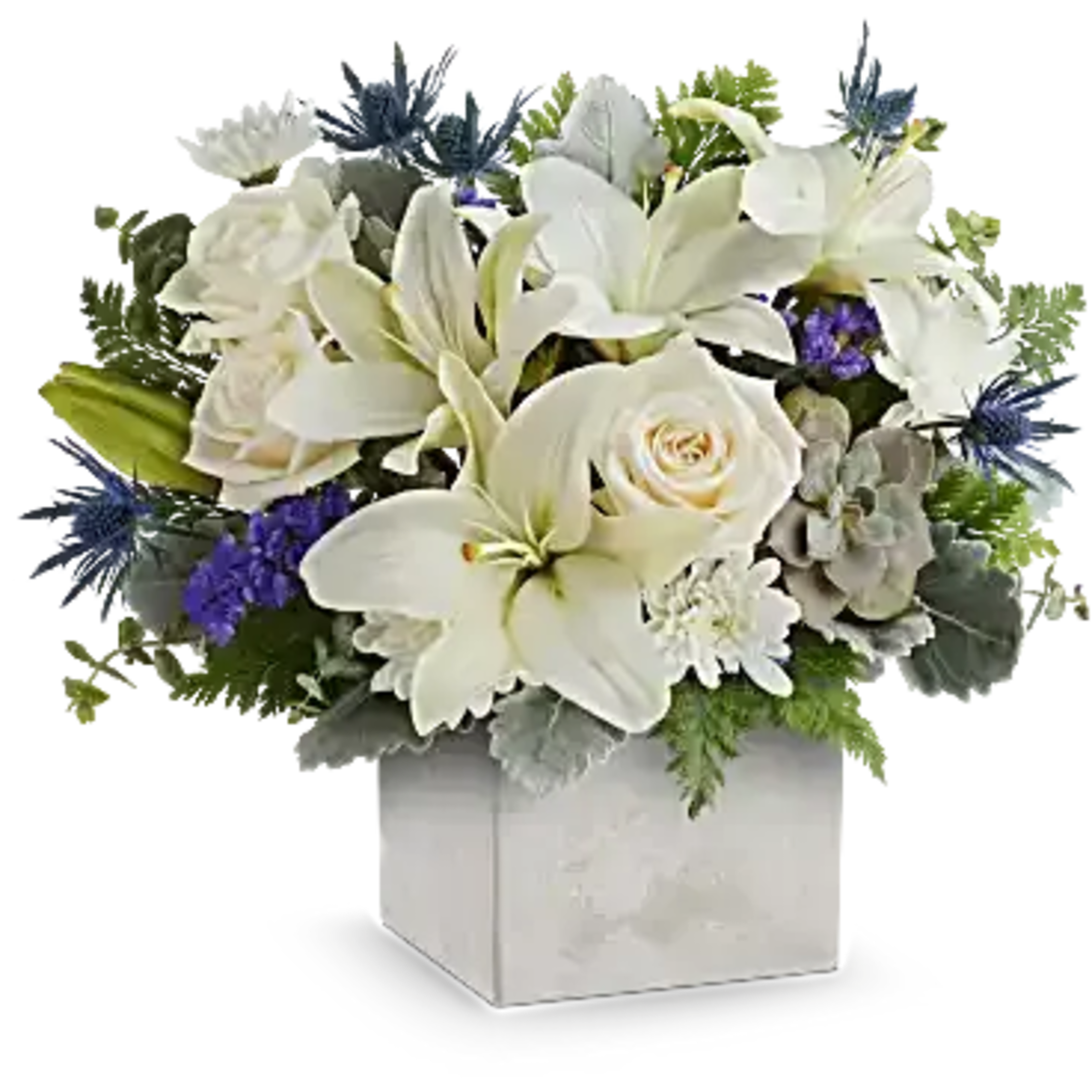 Sleek yet sweet! This stylish arrangement pairs a sculptural succulent with delicate