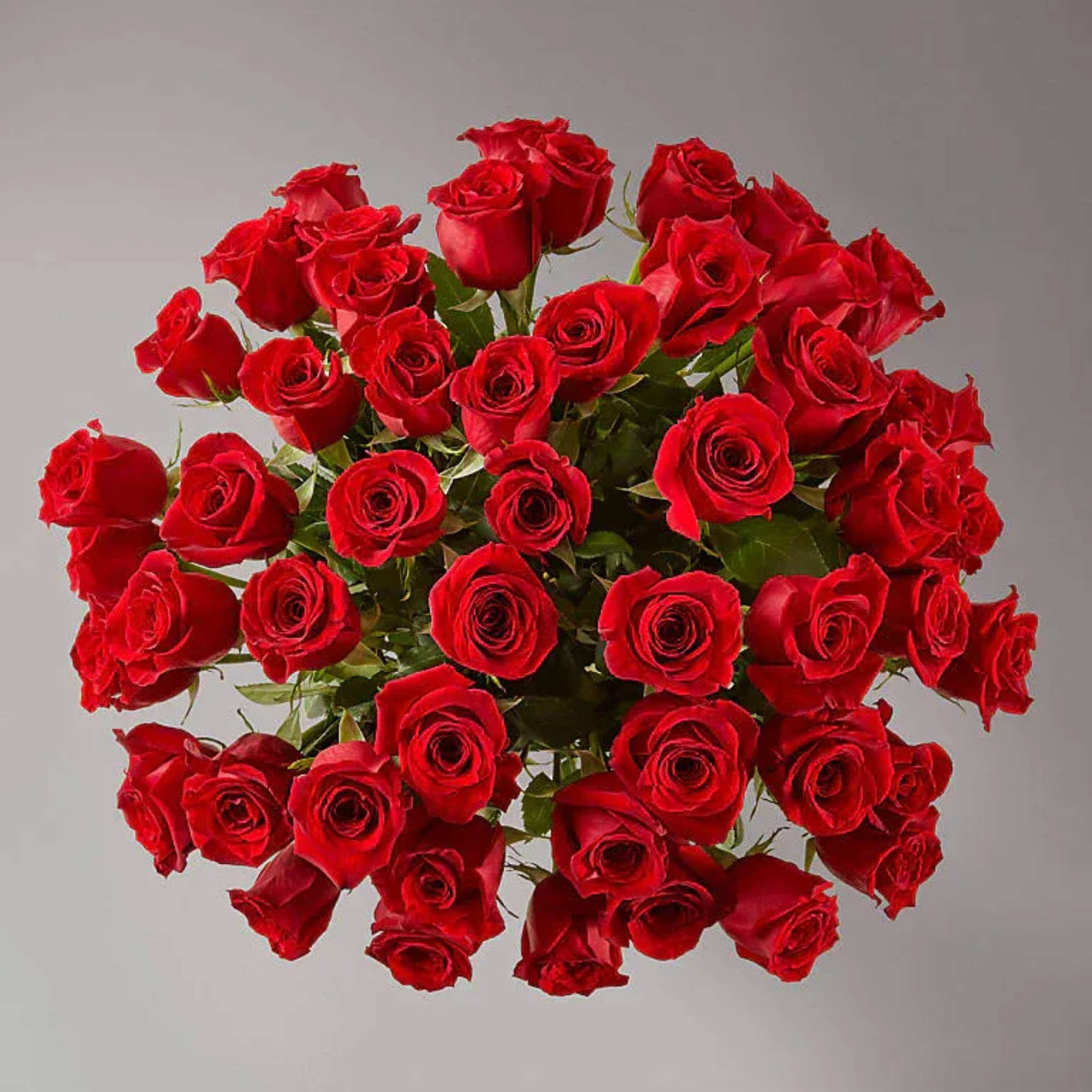 FIFTY LONG STEM RED ROSES WITH VASE
Please Note:The bouquet pictured reflects our