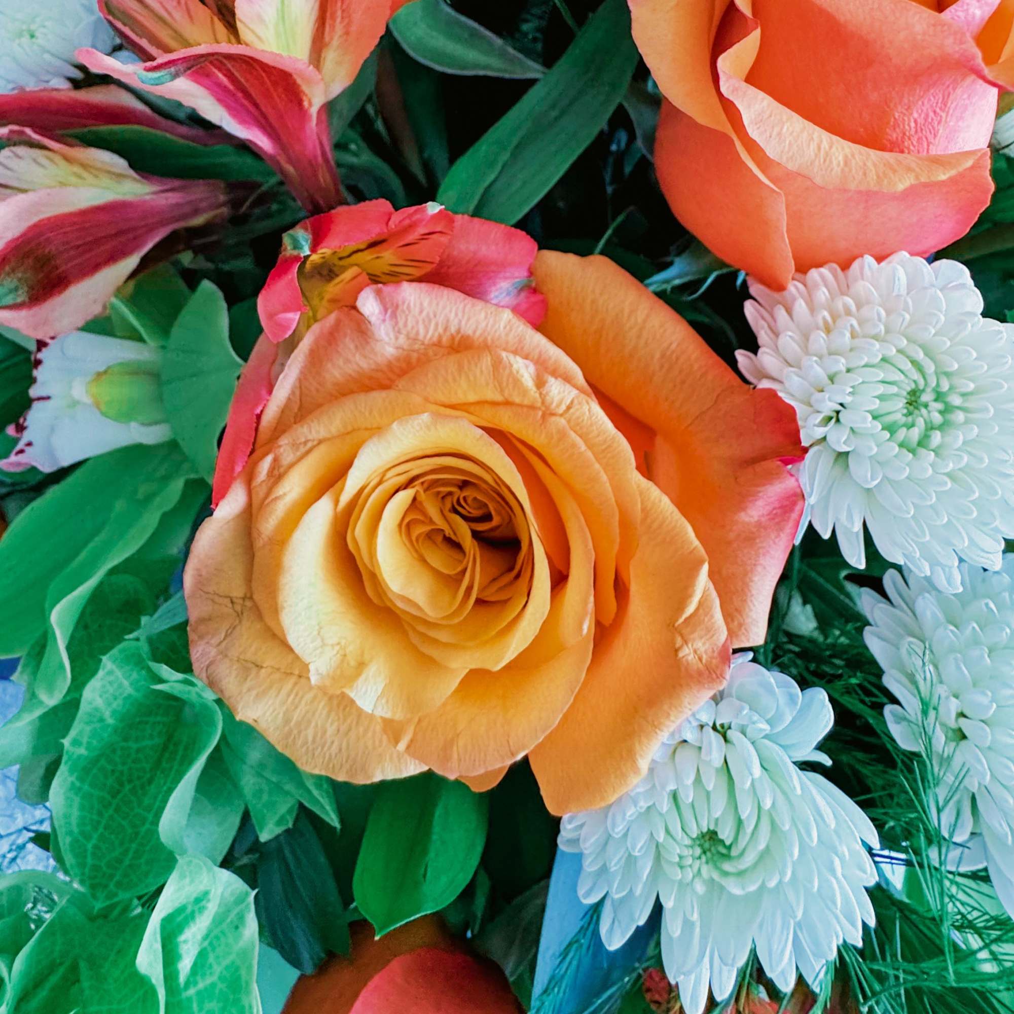 Say hello to Summer Taste—a juicy, joy-filled bouquet that looks like it Say hello to Summer Taste—a juicy, joy-filled bouquet that looks like it