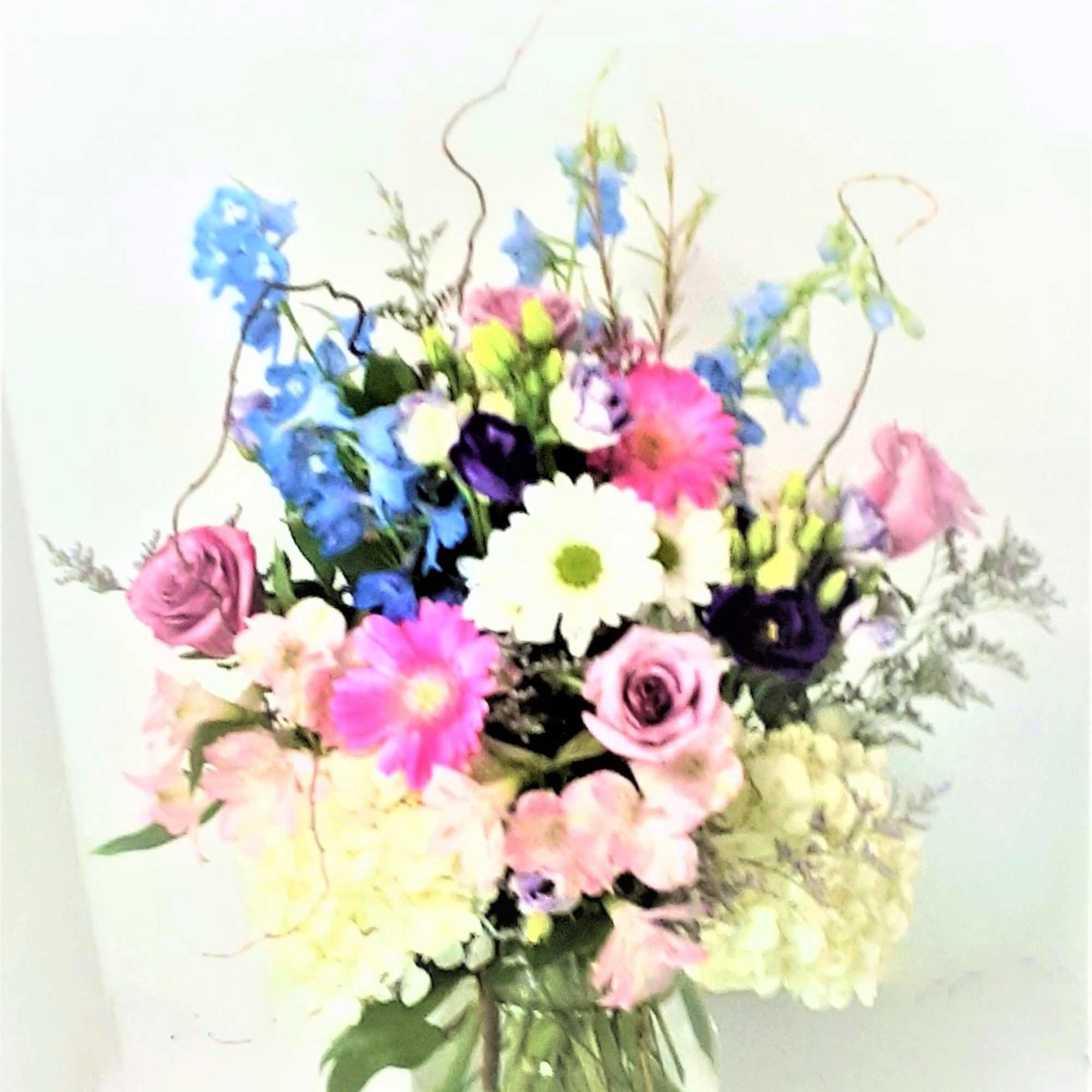 A beautiful assortment of premium and long lasting flowers,including gerbera 
daisies,hydrangeas,blue delphinium