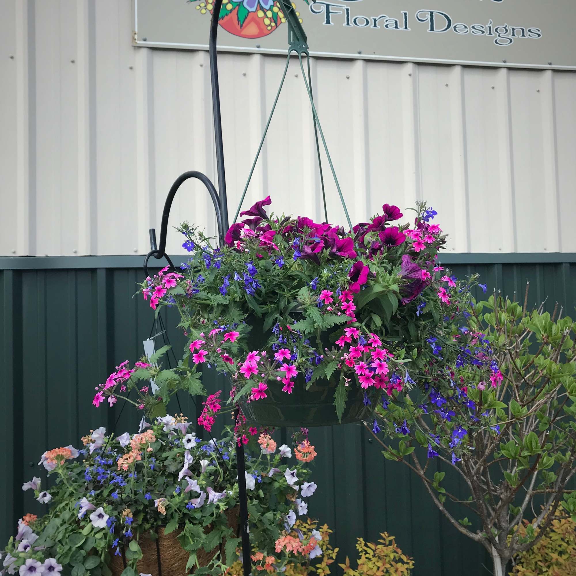 Mixed and solid annual hanging baskets. Standard size is in an 12 Mixed and solid annual hanging baskets. Standard size is in an 12