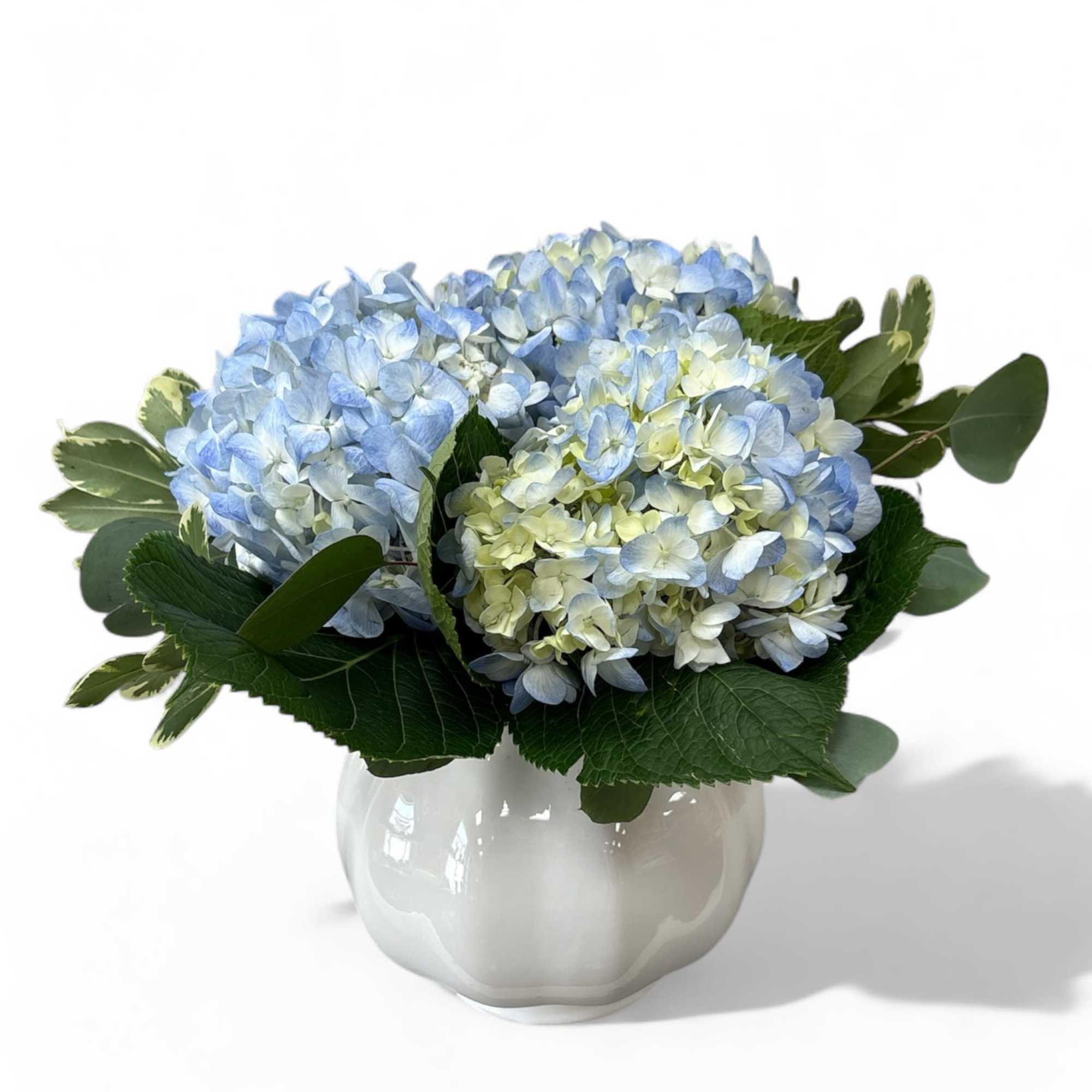 Hydrangea4937　0203 21” Hydrangea Bunch - 6 Heads - Ivory - LO Florist Supplies