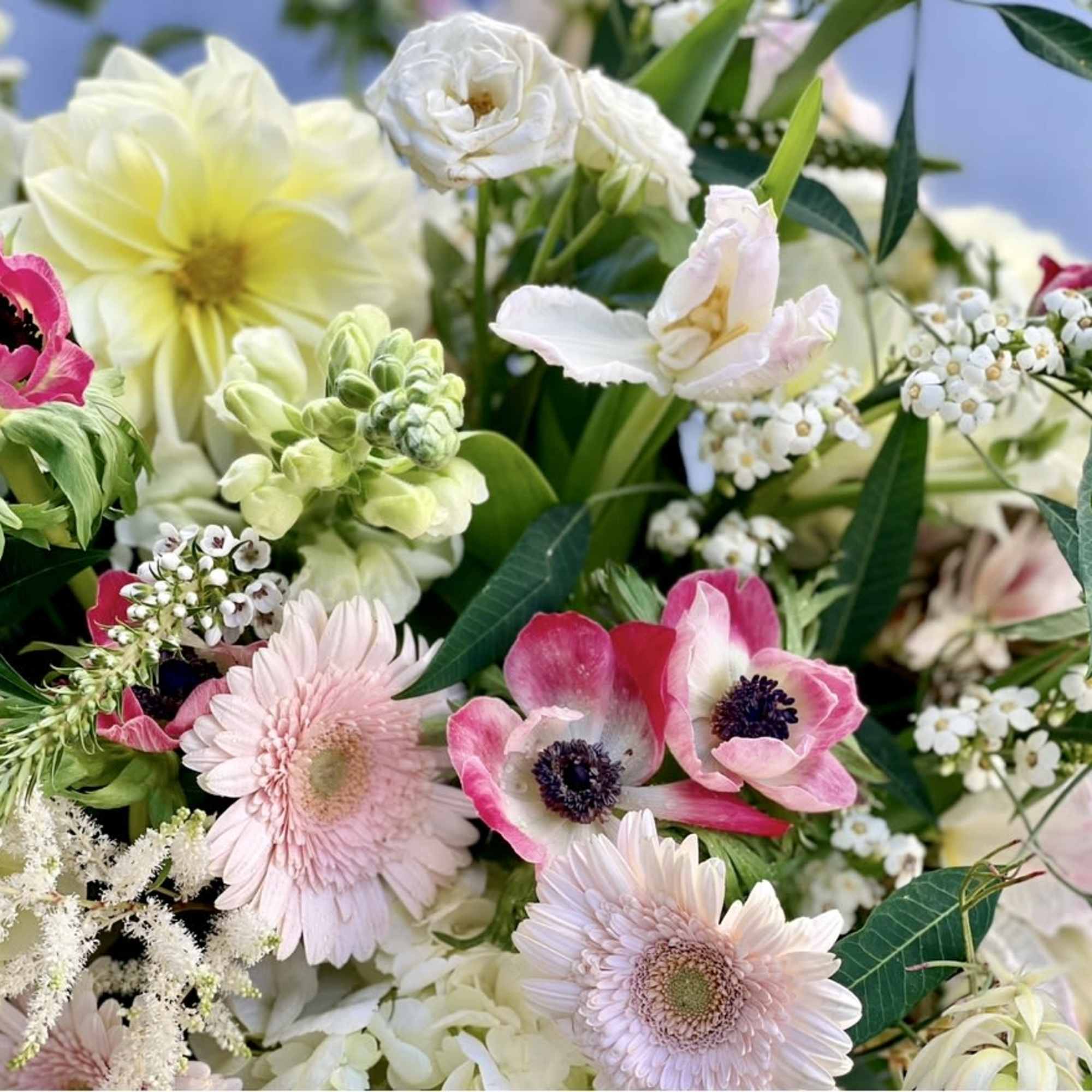 A romantic and fun design filled with gerber daisies, roses, anemones, dahliassnapdragonshydrangeas