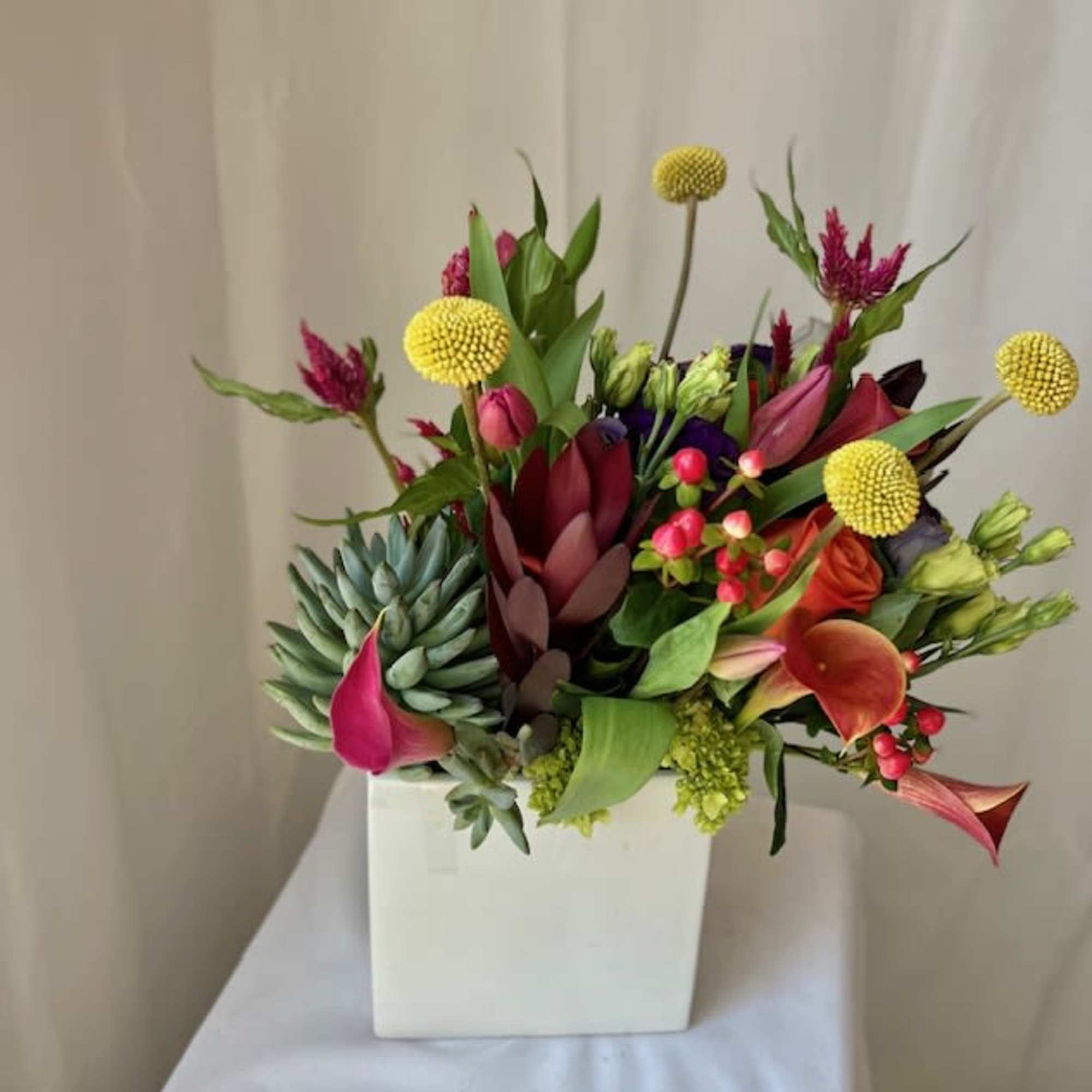 This arrangement is perfect for a plant and flower lover combined! We This arrangement is perfect for a plant and flower lover combined! We