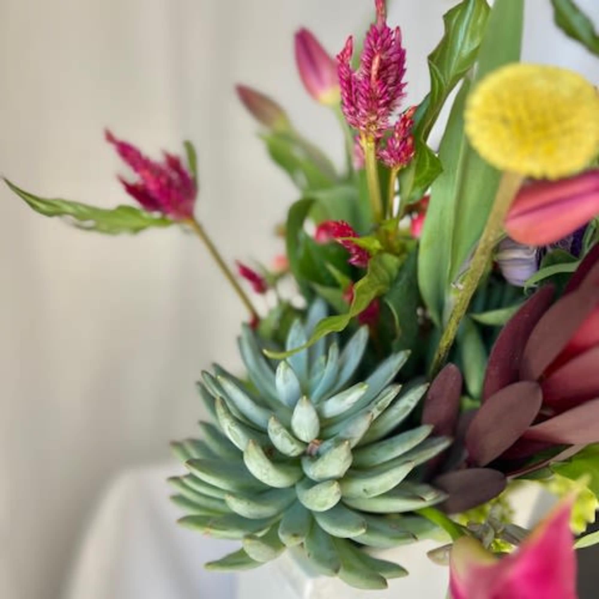 This arrangement is perfect for a plant and flower lover combined! We This arrangement is perfect for a plant and flower lover combined! We