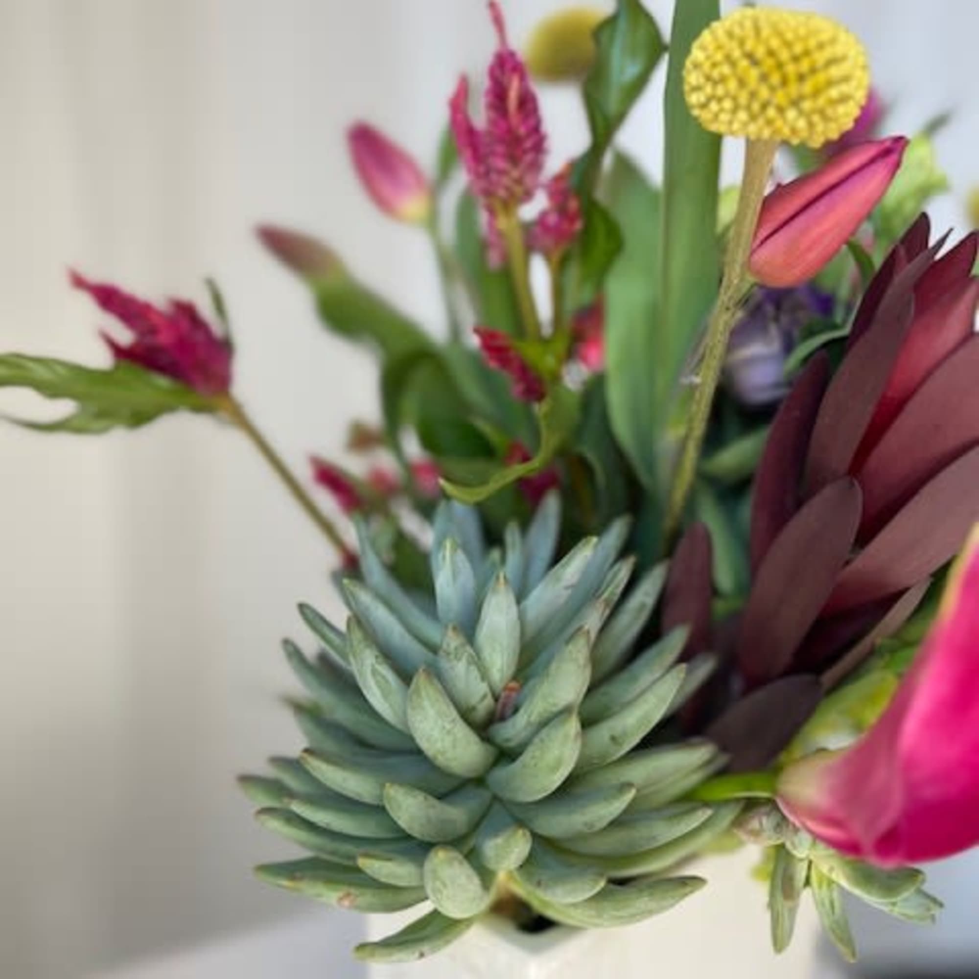 This arrangement is perfect for a plant and flower lover combined! We This arrangement is perfect for a plant and flower lover combined! We