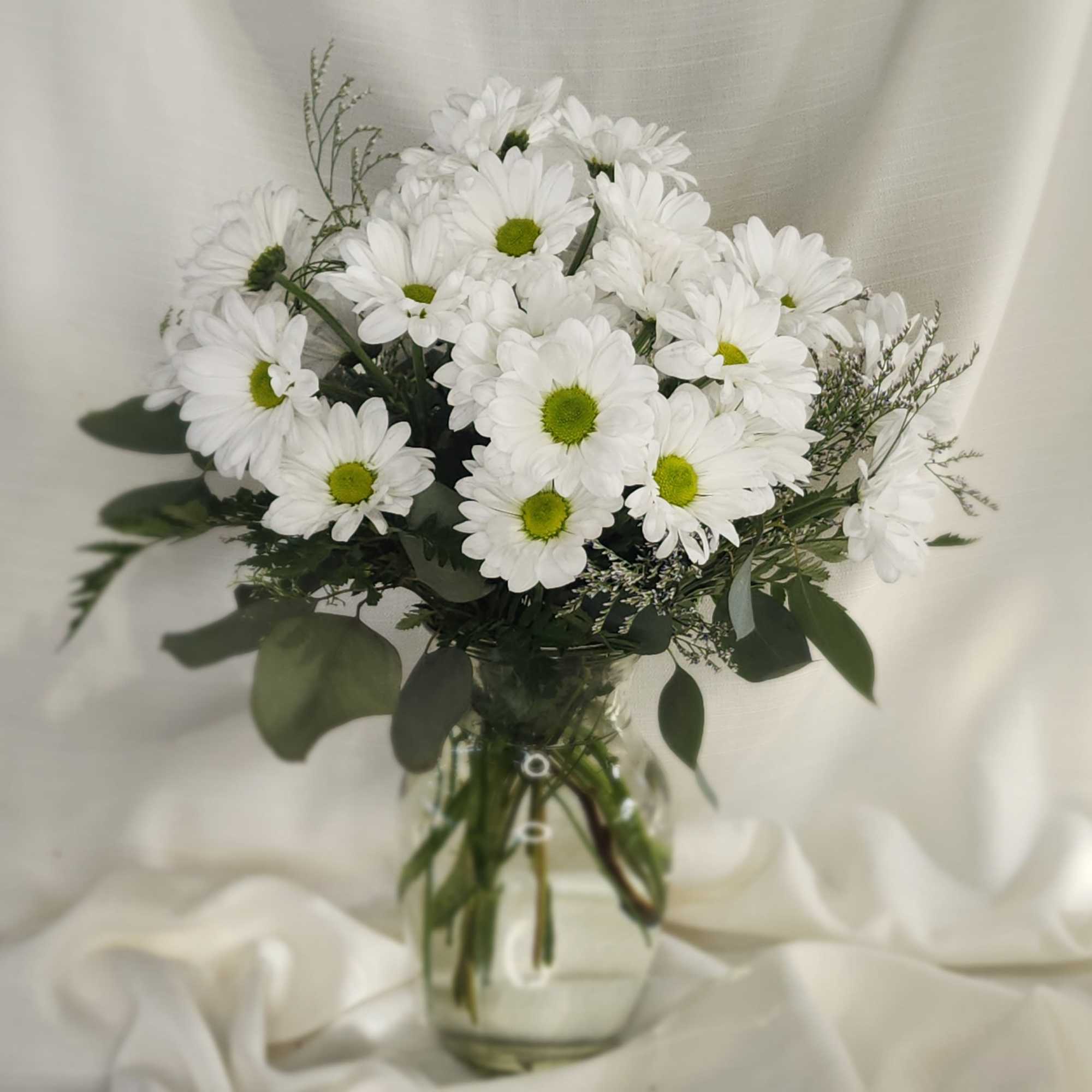 A homage to the simple joys of earth, Daisies bring on the A homage to the simple joys of earth, Daisies bring on the