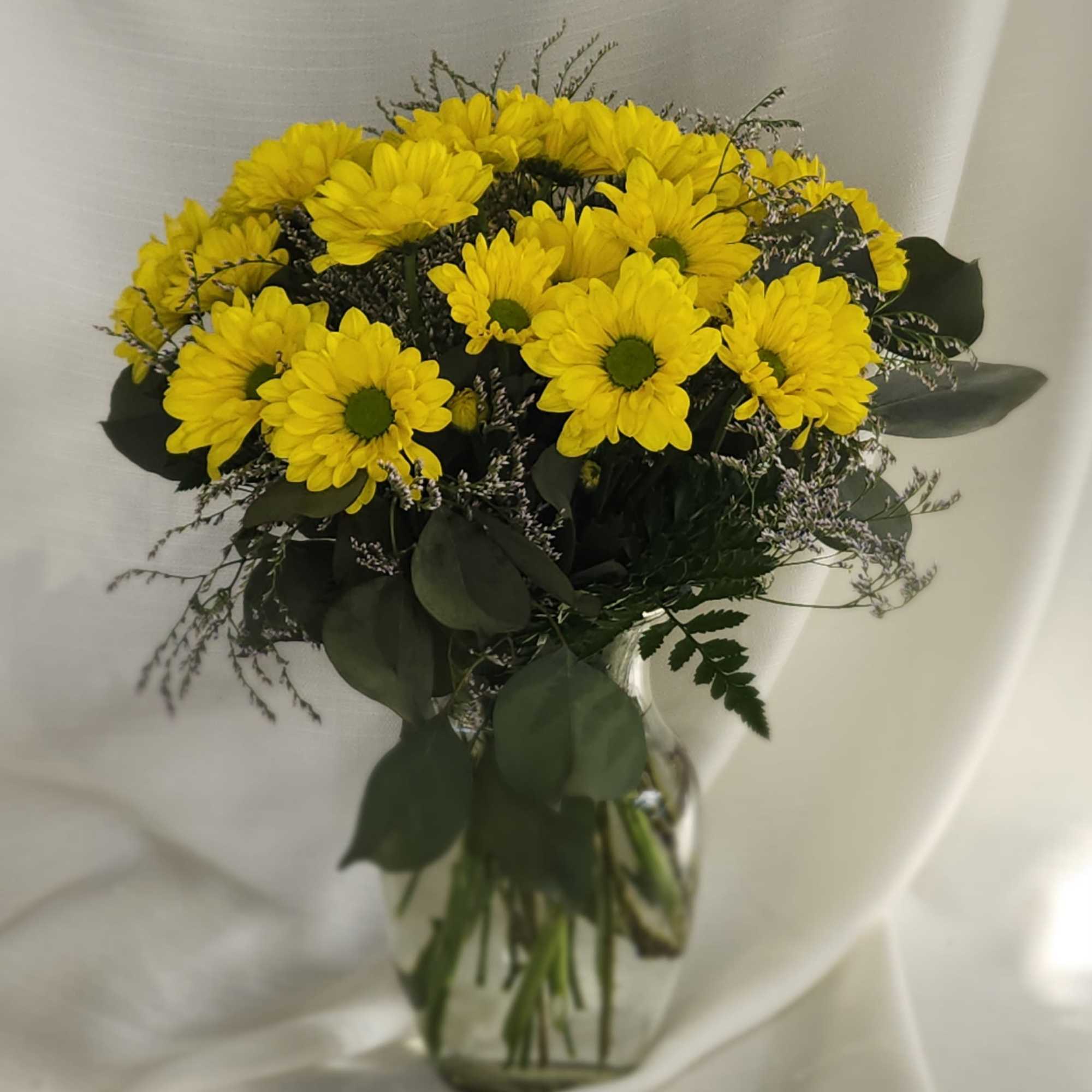 A homage to the simple joys of earth, Daisies bring on the A homage to the simple joys of earth, Daisies bring on the
