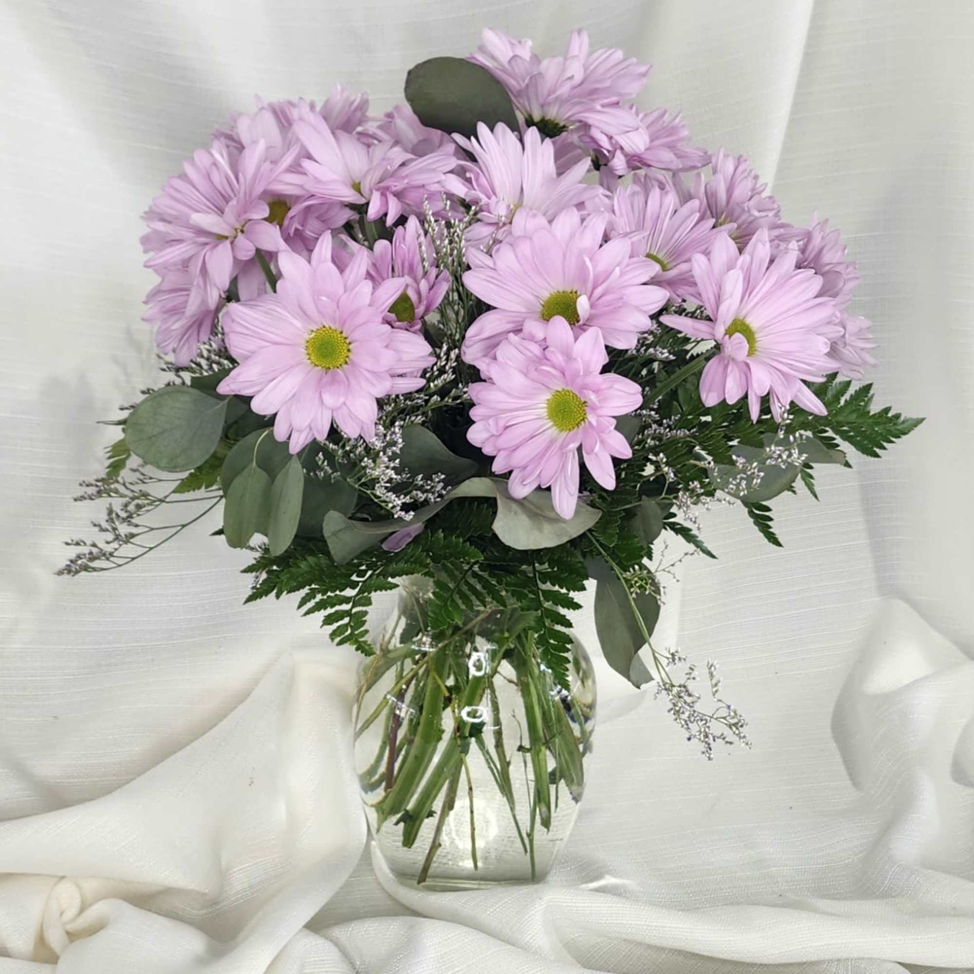 A homage to the simple joys of earth, Daisies bring on the A homage to the simple joys of earth, Daisies bring on the