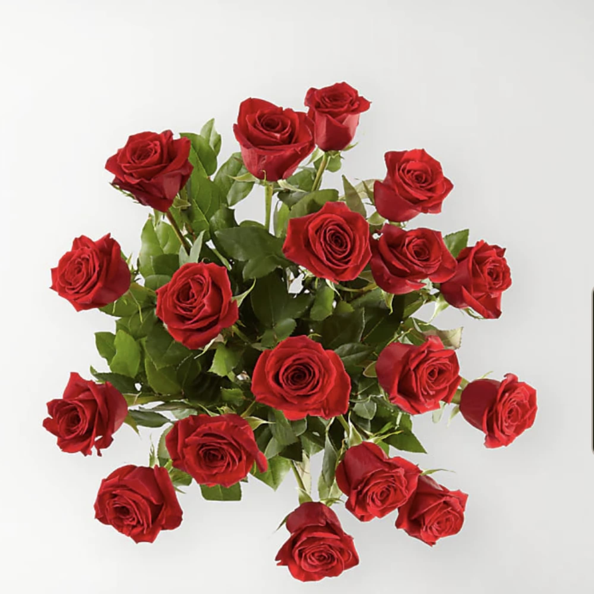 The Classic Love Red Rose Bouquet is love&#039;s most timeless flower. Nothing