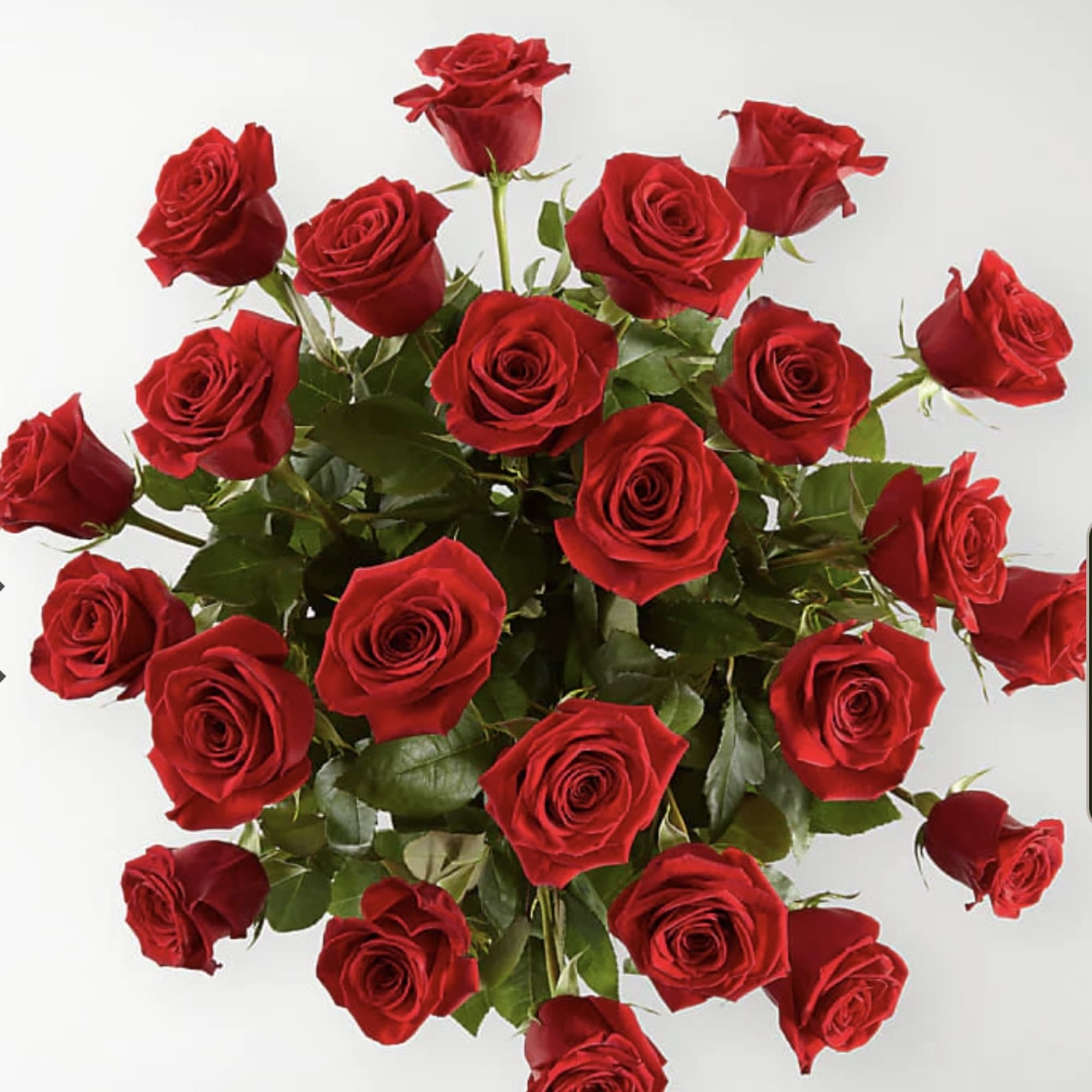 The Classic Love Red Rose Bouquet is love&#039;s most timeless flower. Nothing