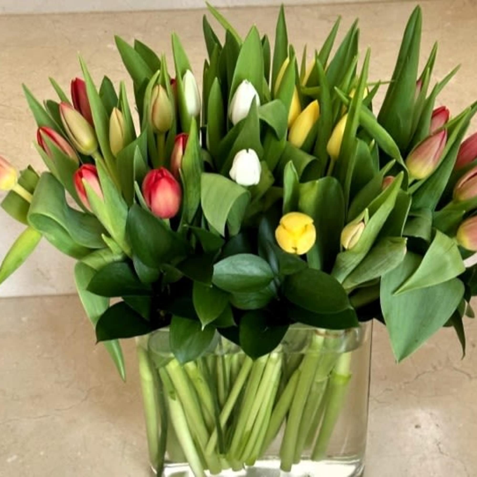 30 Assorted color tulips in specialty vase.