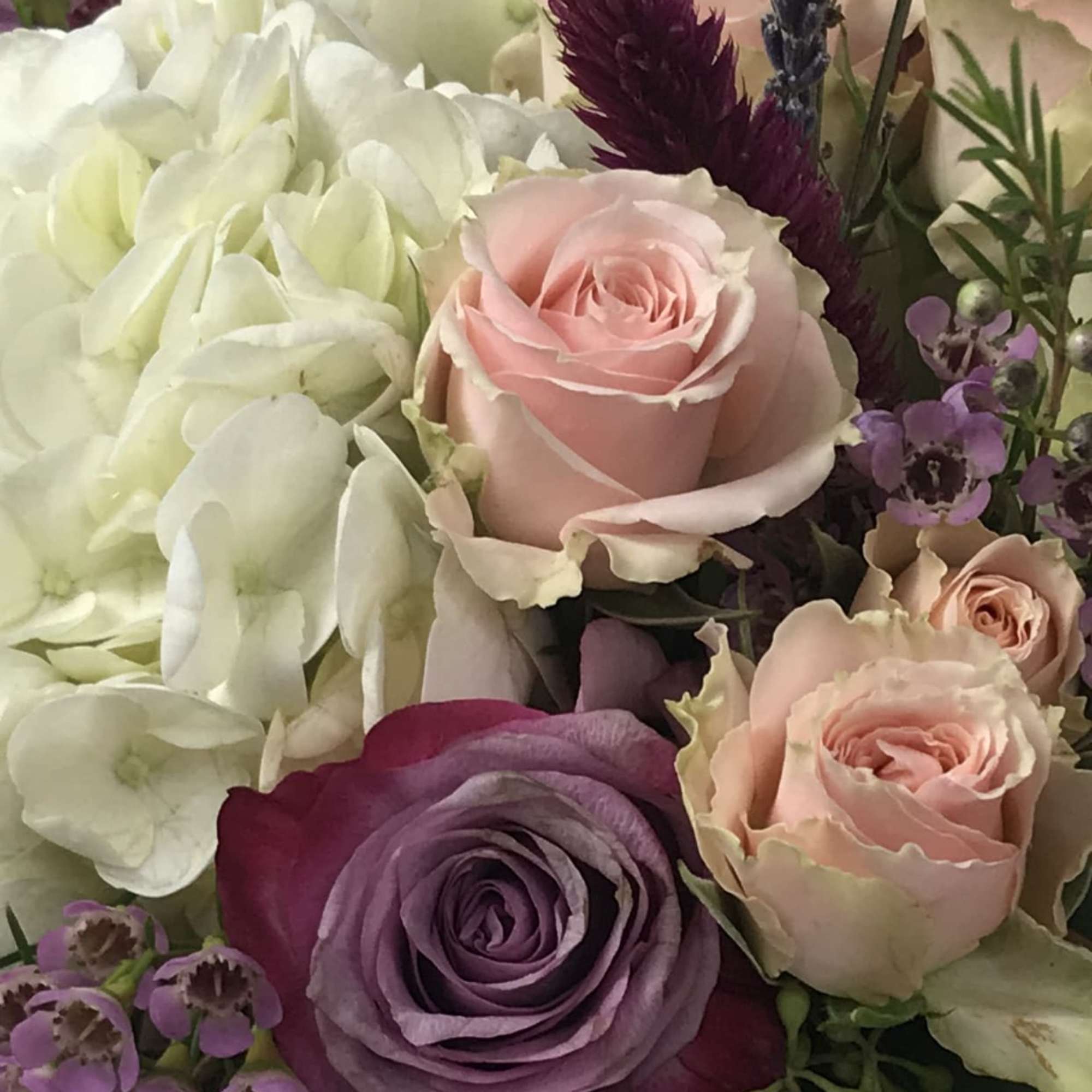 Collection of Hydrangea, Spray Roses, Seeded Eucalyptus,Lavender,  decorative pompoms, In an