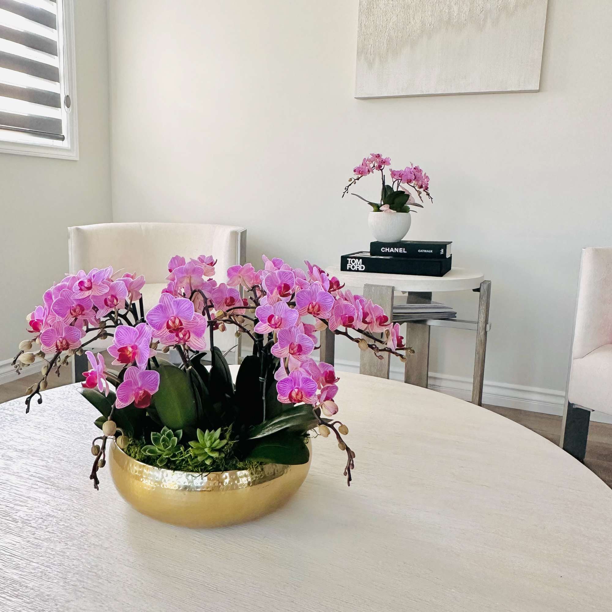 10 fresh orchids and 10 succulents