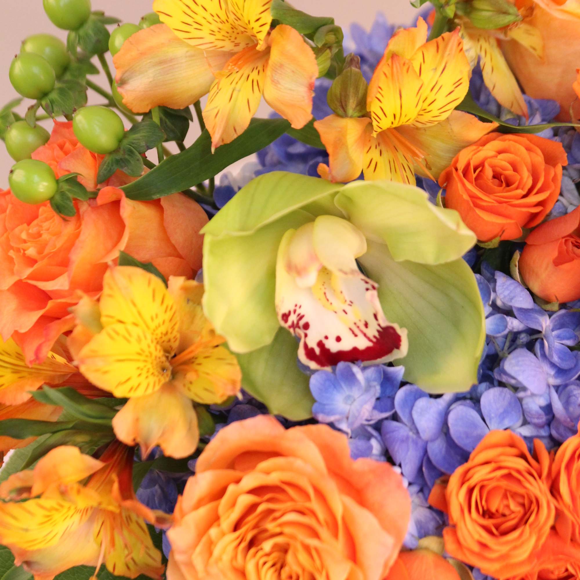 A bright and cheerful arrangement of hydrangeas, roses, orchid, alstromeria, and coffee