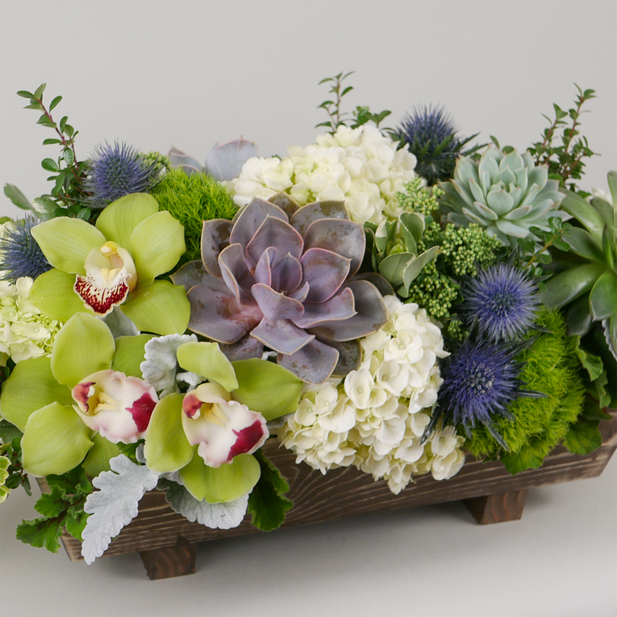 This elegant arrangement features a modern collection of succulents, cymbidium orchids, hydrangeas
