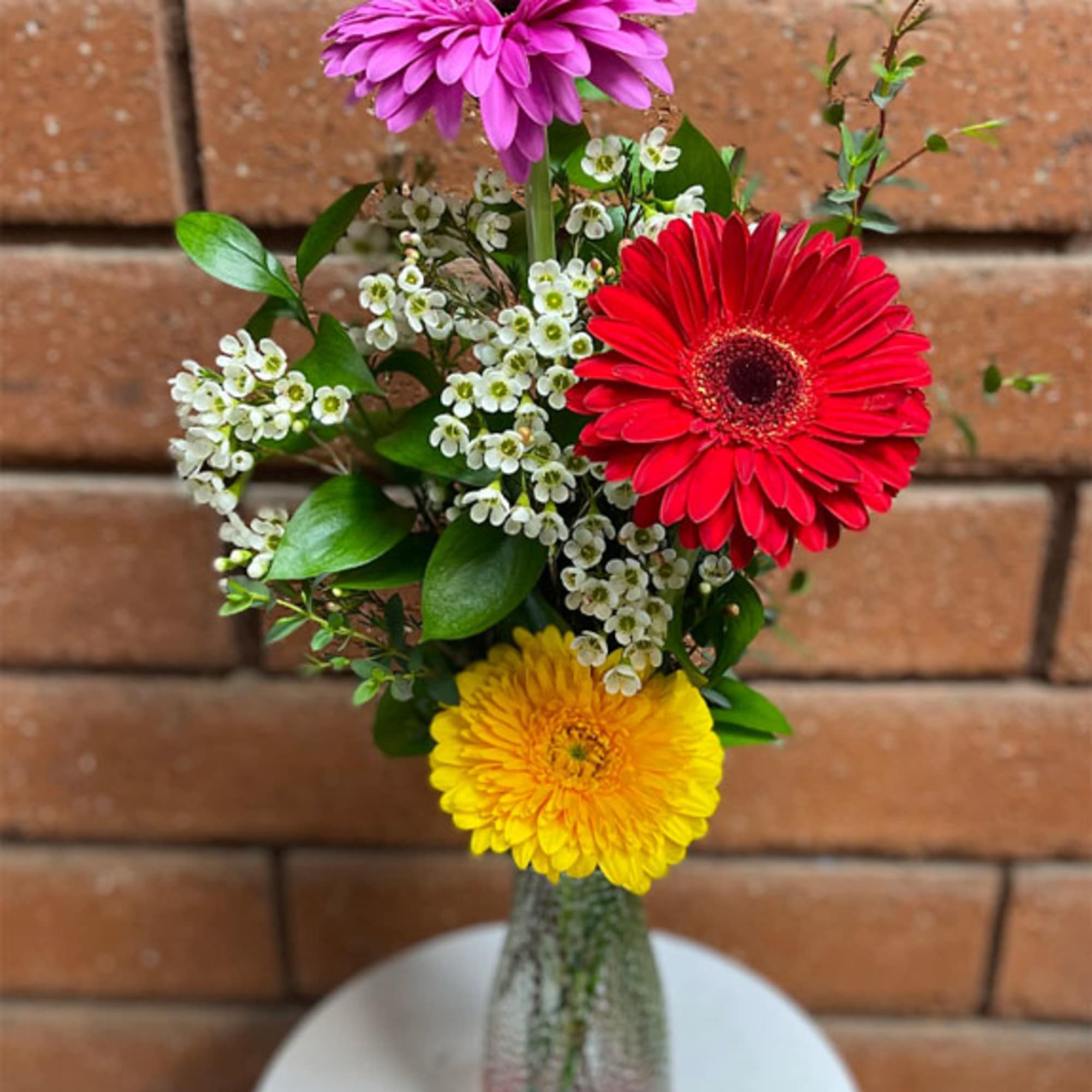 The vibrant hues of Gerbera Daisies make them a popular choice for