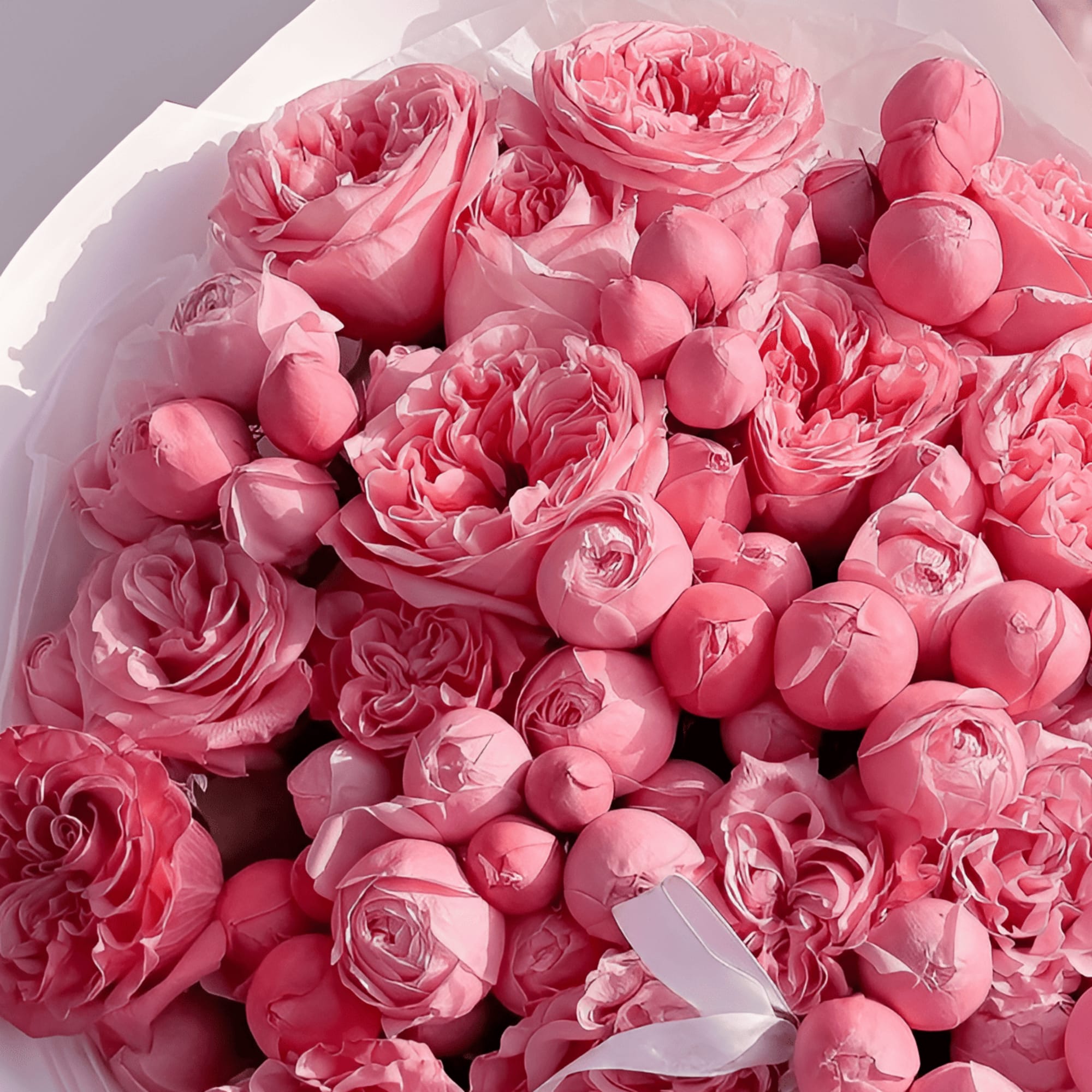 An irresistible burst of rich pink garden roses and spray roses, Pink