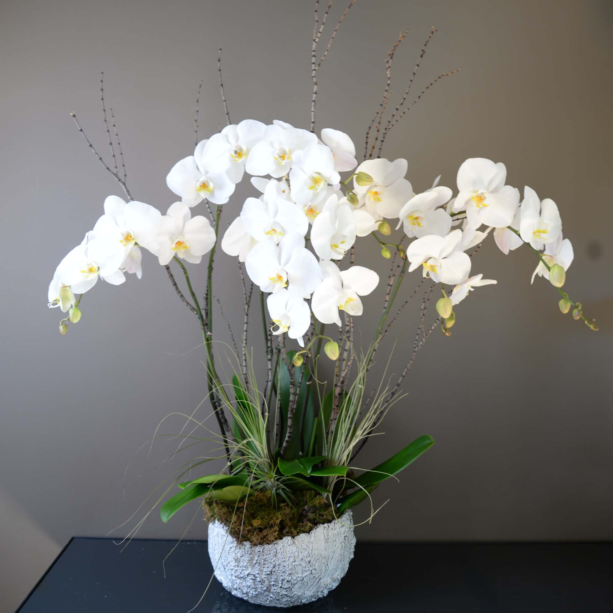 The boat shaped ceramic vessel is filled with three, double spike, small The boat shaped ceramic vessel is filled with three, double spike, small