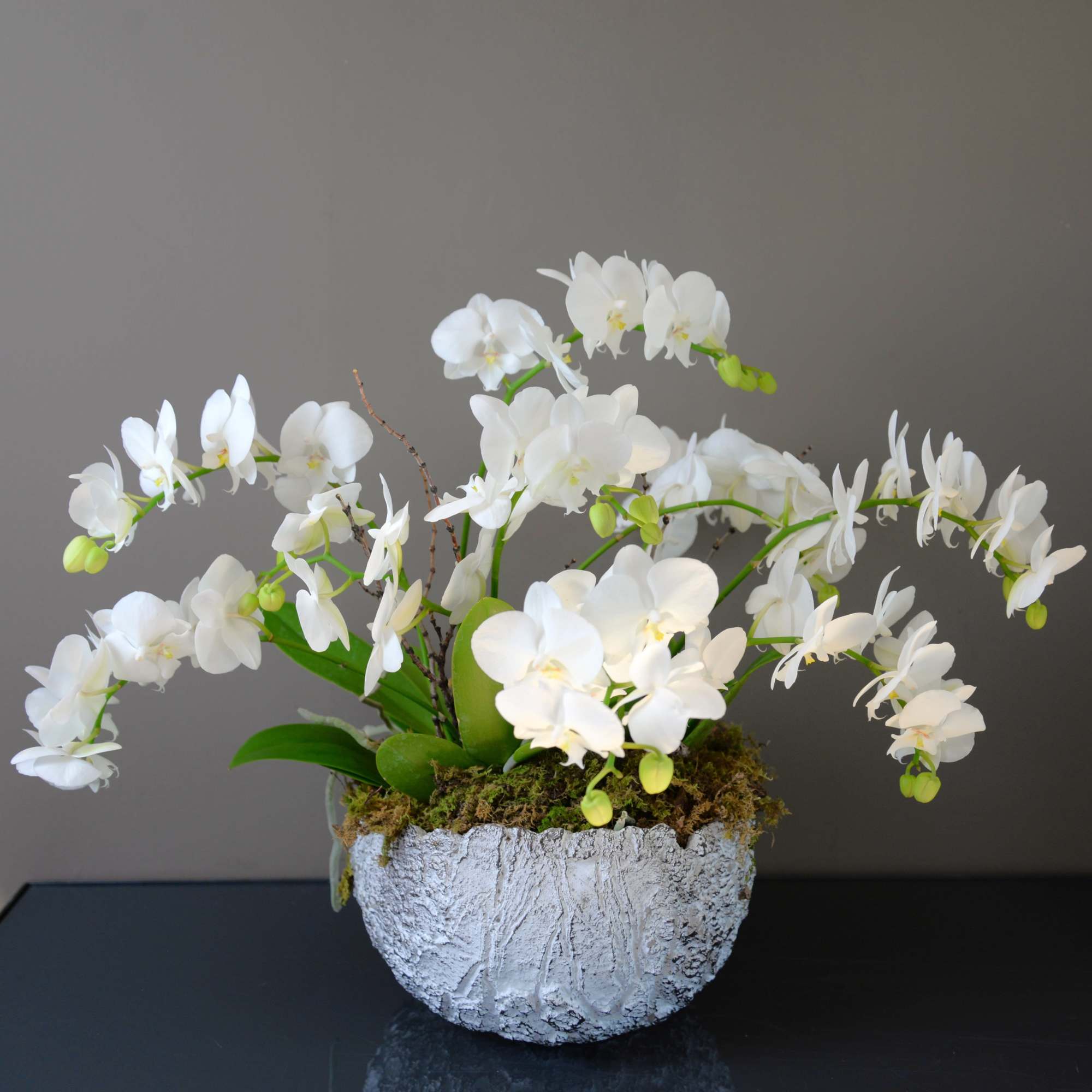 The boat shaped ceramic vessel is filled with three, double spike, small The boat shaped ceramic vessel is filled with three, double spike, small