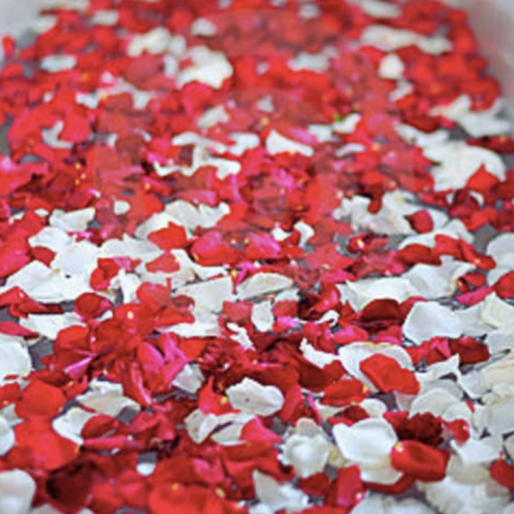 Add stunning touch to your special event with fresh rose petals!!! Fresh
