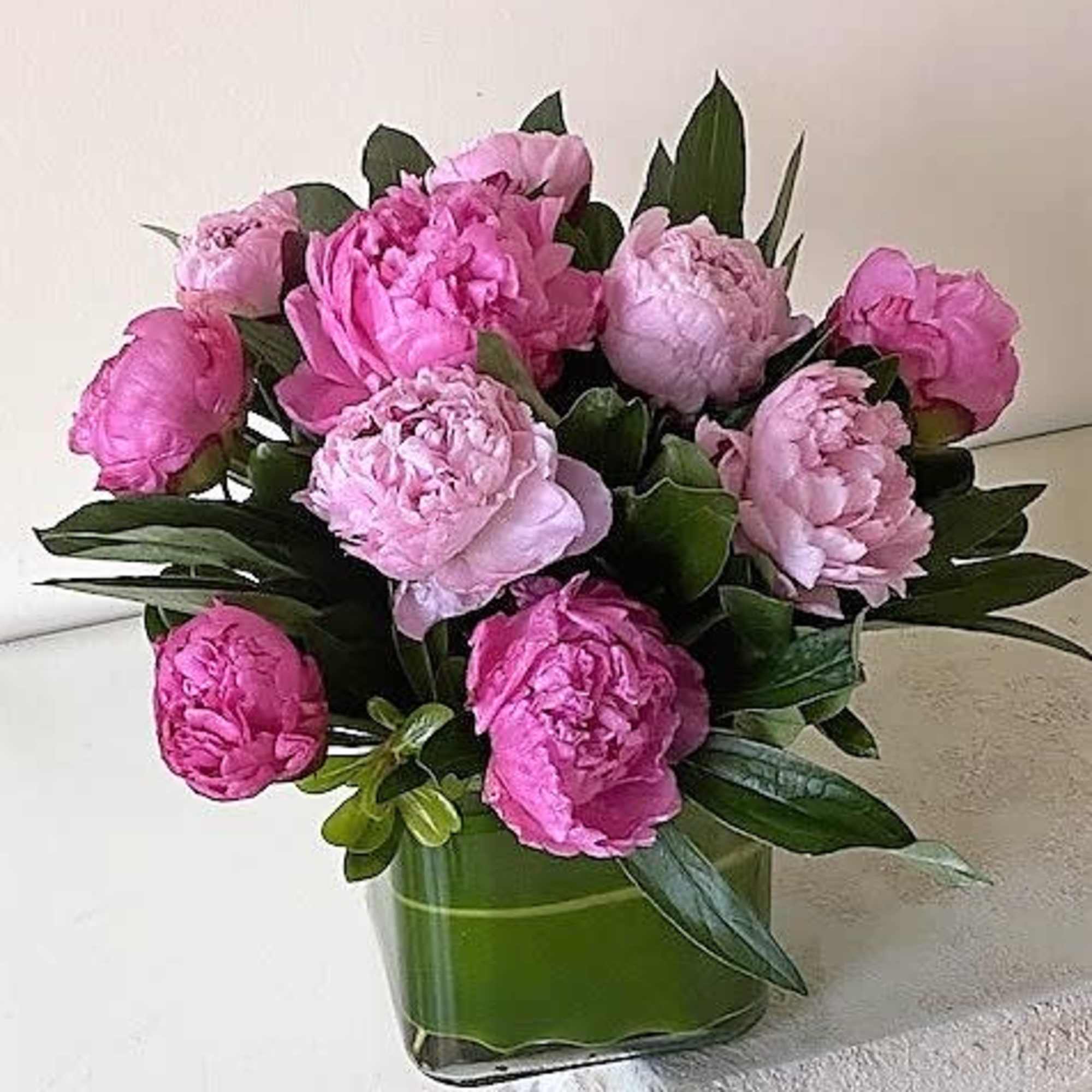 Peonies arranged in a glass vase vase with greenery.
Standard:  10 Peonies
