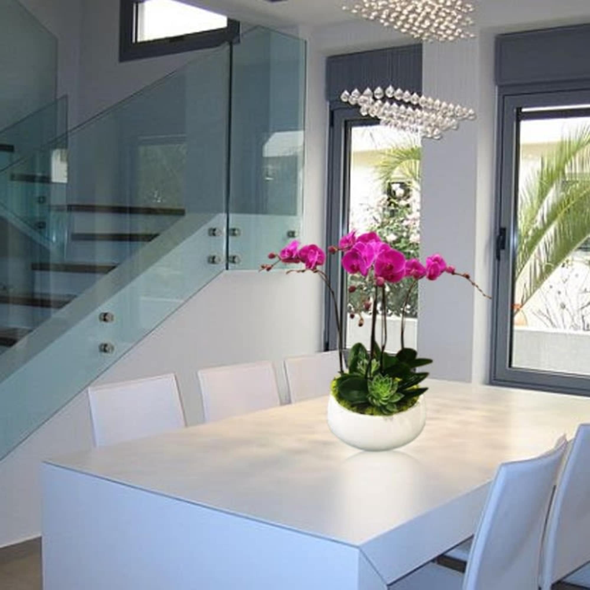  Purple orchids can represent Royalty and Admiration , and are traditionally