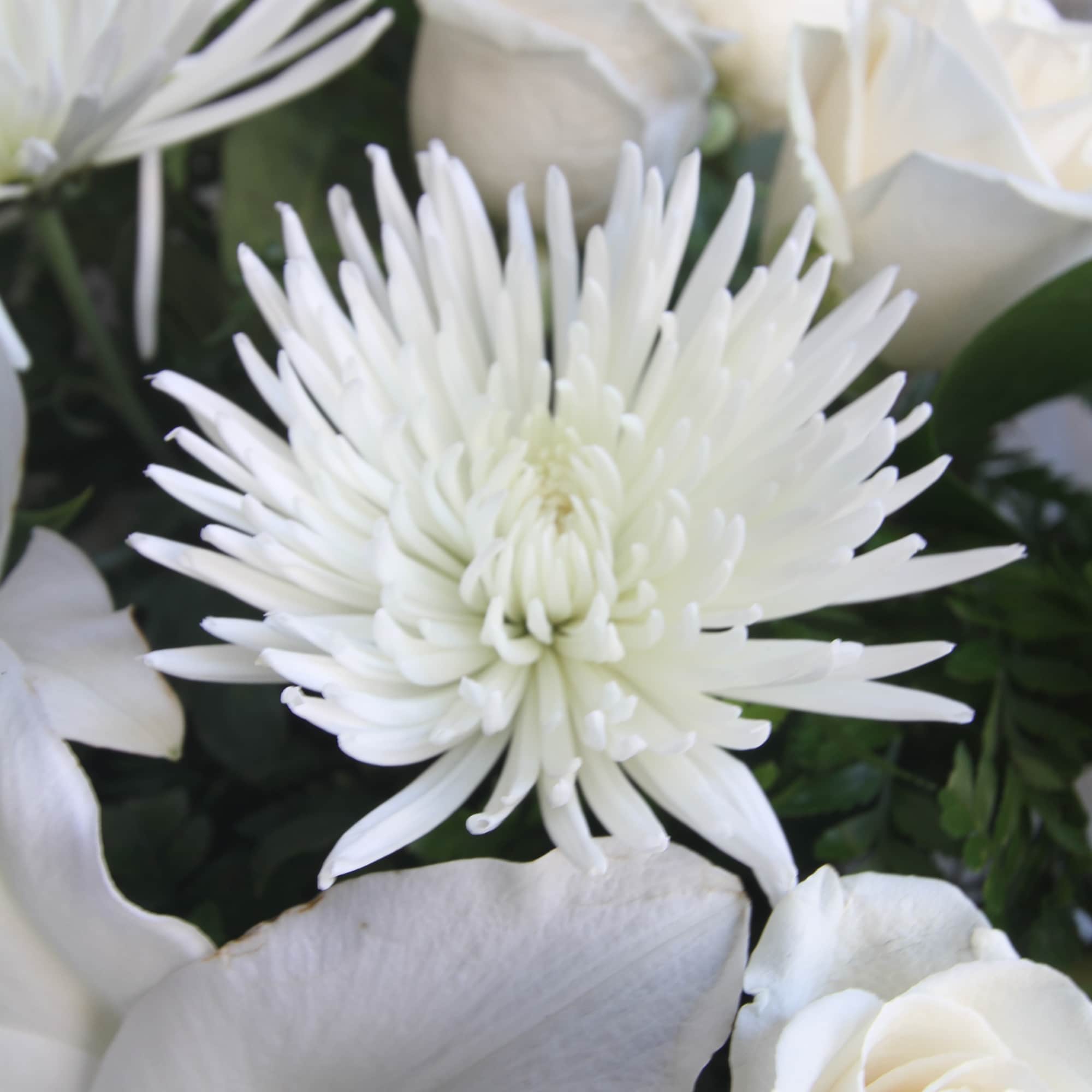 Experience the tranquility and purity of our white funeral arrangement. Delicate lilies