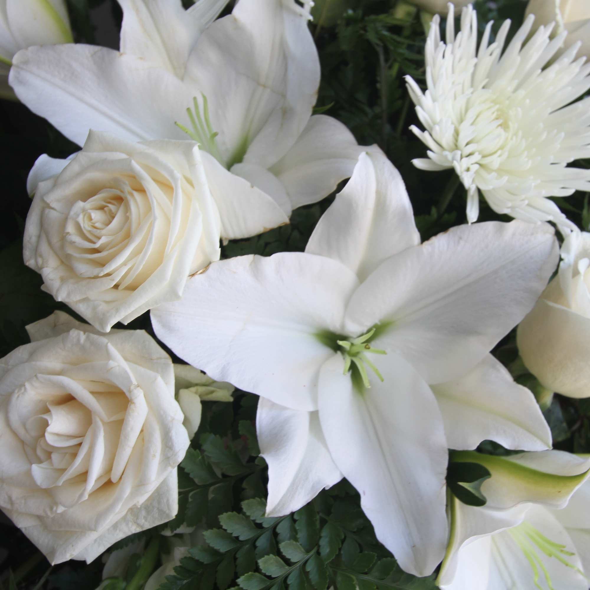 Experience the tranquility and purity of our white funeral arrangement. Delicate lilies