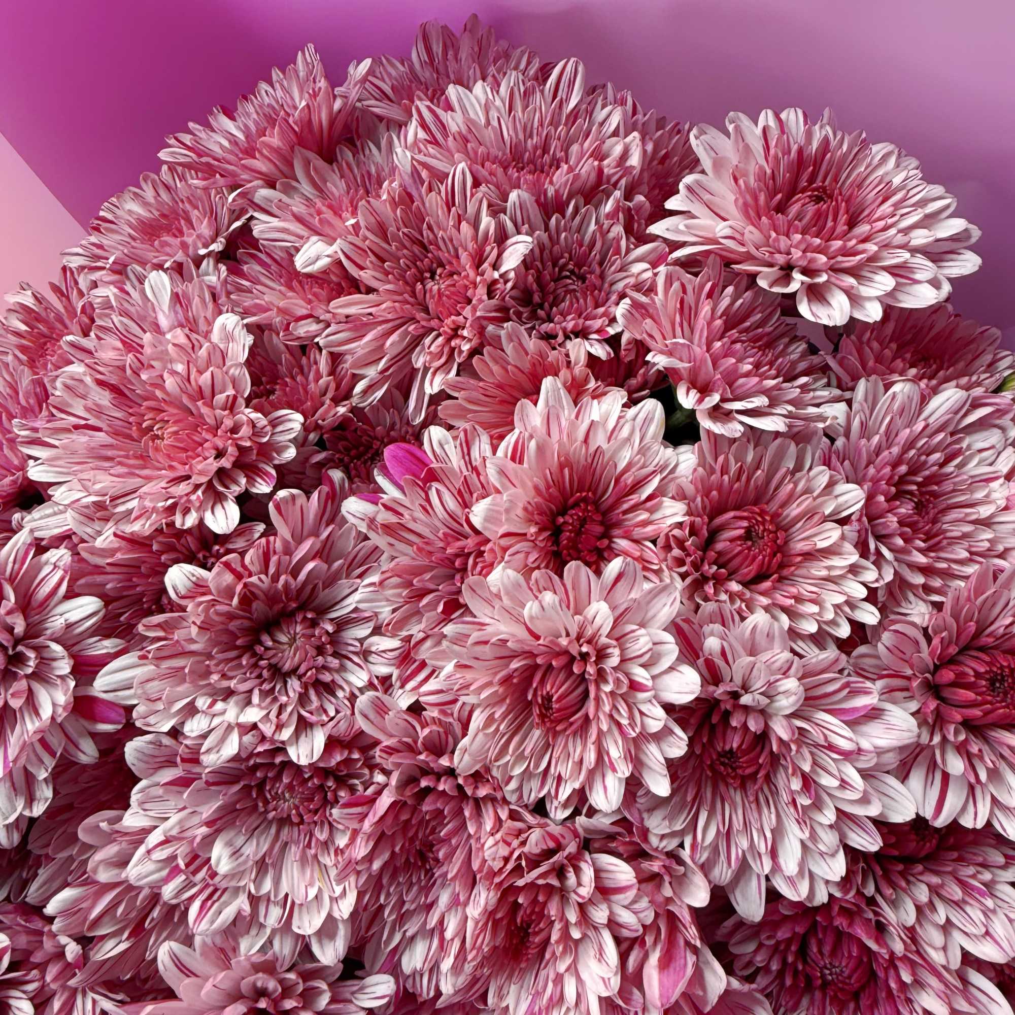 There&rsquo;s something about it you can&rsquo;t quite explain but you feel it.
Each