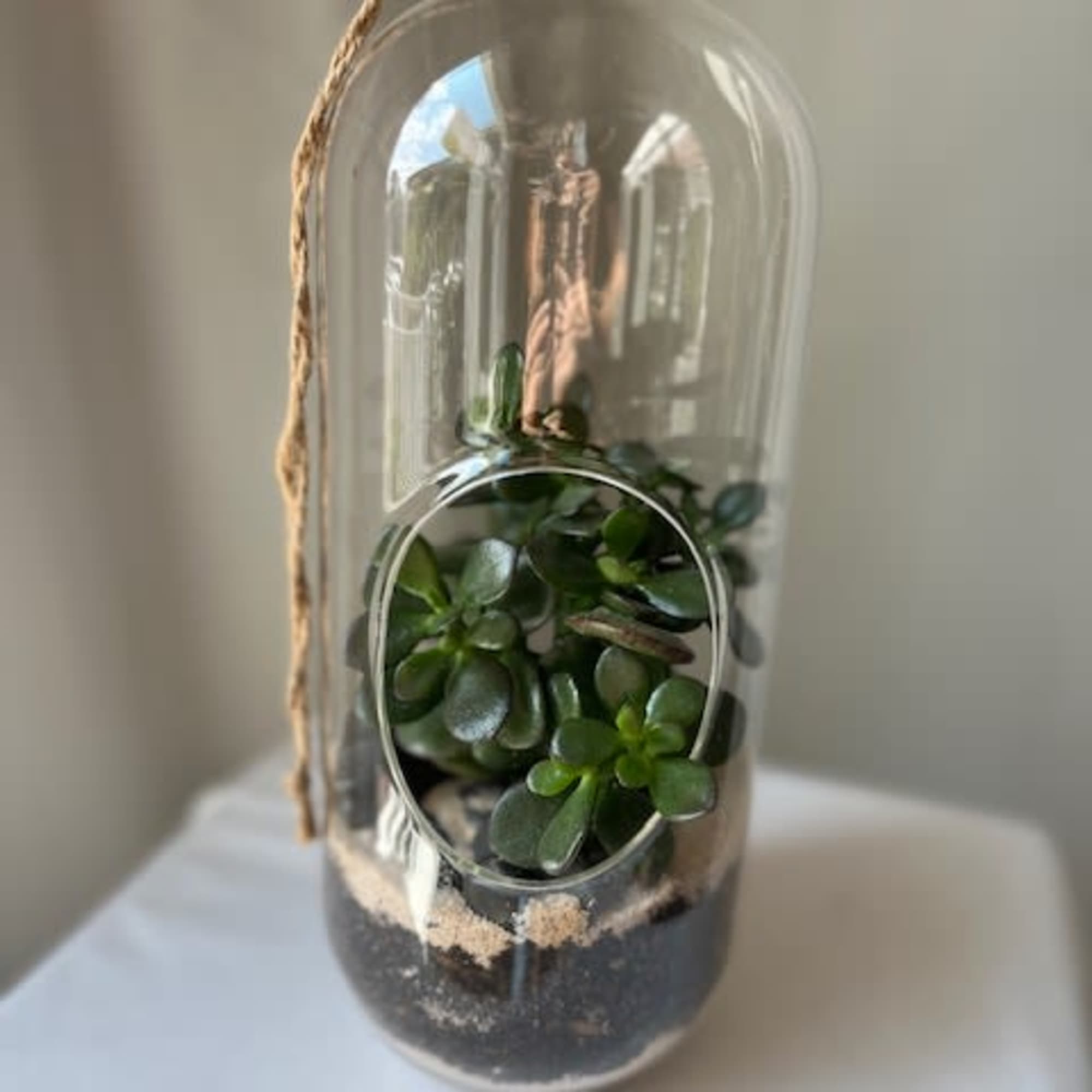 This is a perfect gift for a succulent lover! This glass terarium This is a perfect gift for a succulent lover! This glass terarium