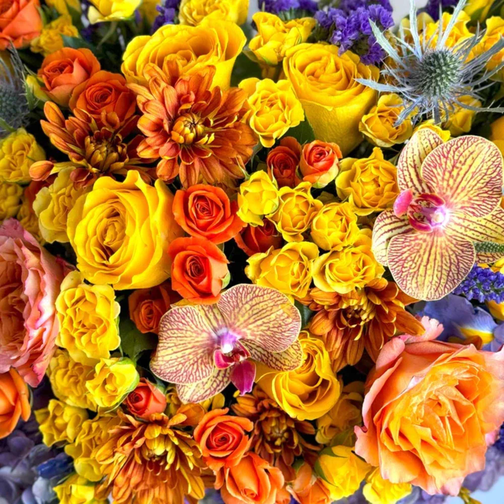 Arrangement for him or for her! premium and courageous arrangements that everyone