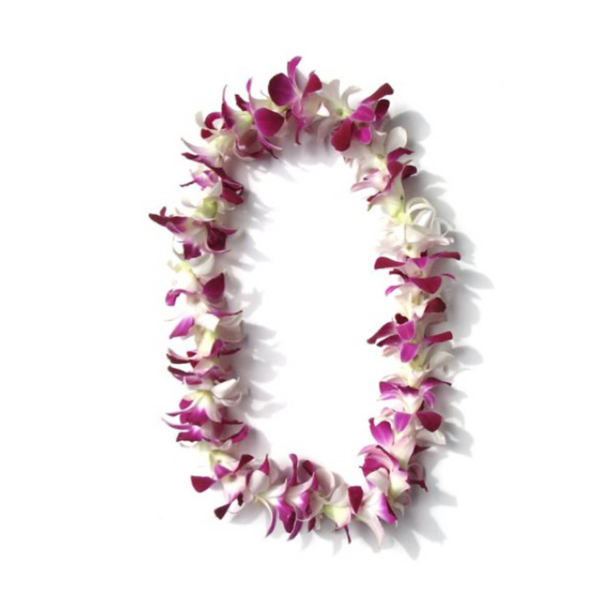 Fushia /purple  Hawaiian Orchid Lei
Made in Hawaii.
Single Dendrobium Orchids lei purchase