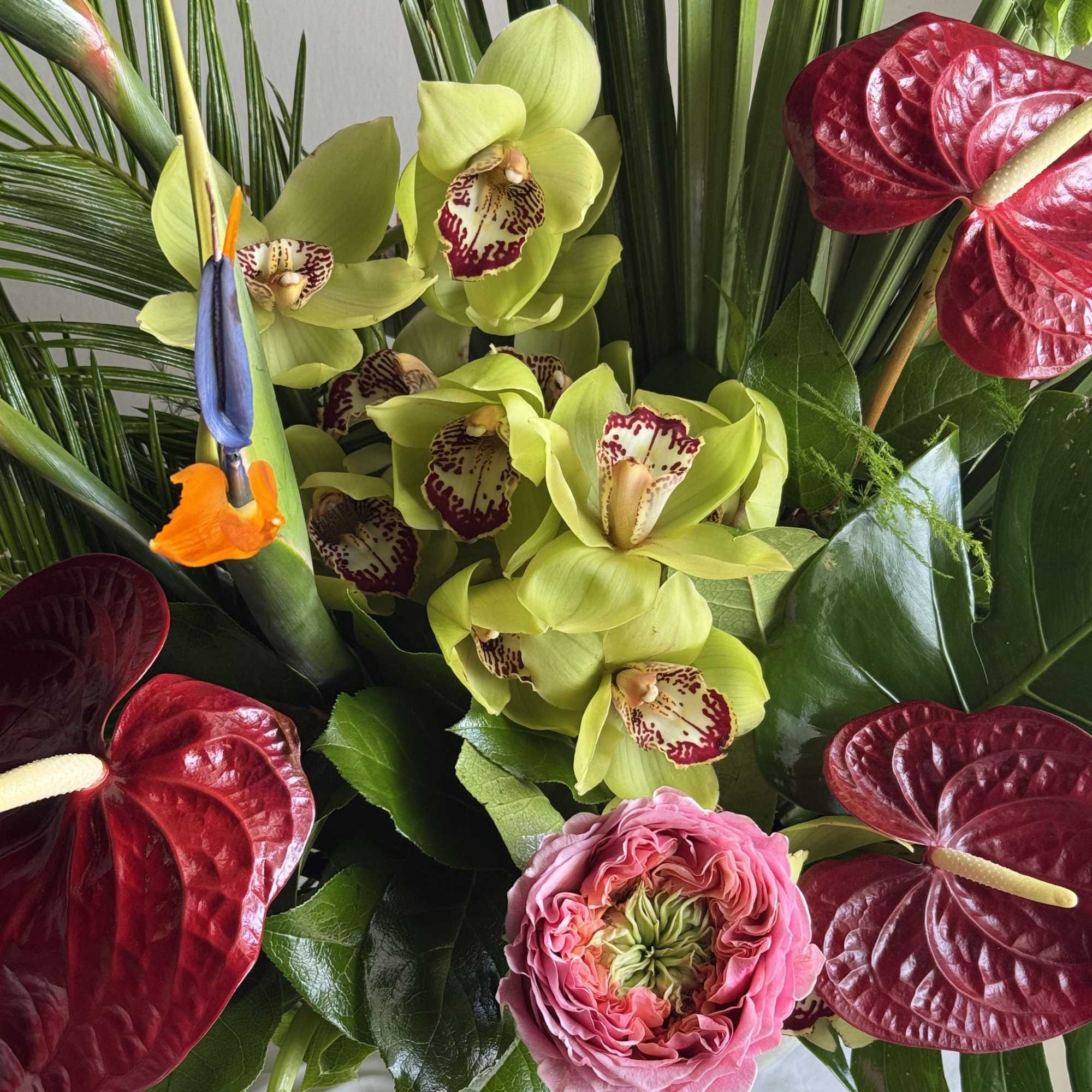 Nothing says summer (and love!) like this blooming beauty. Our favorite pick