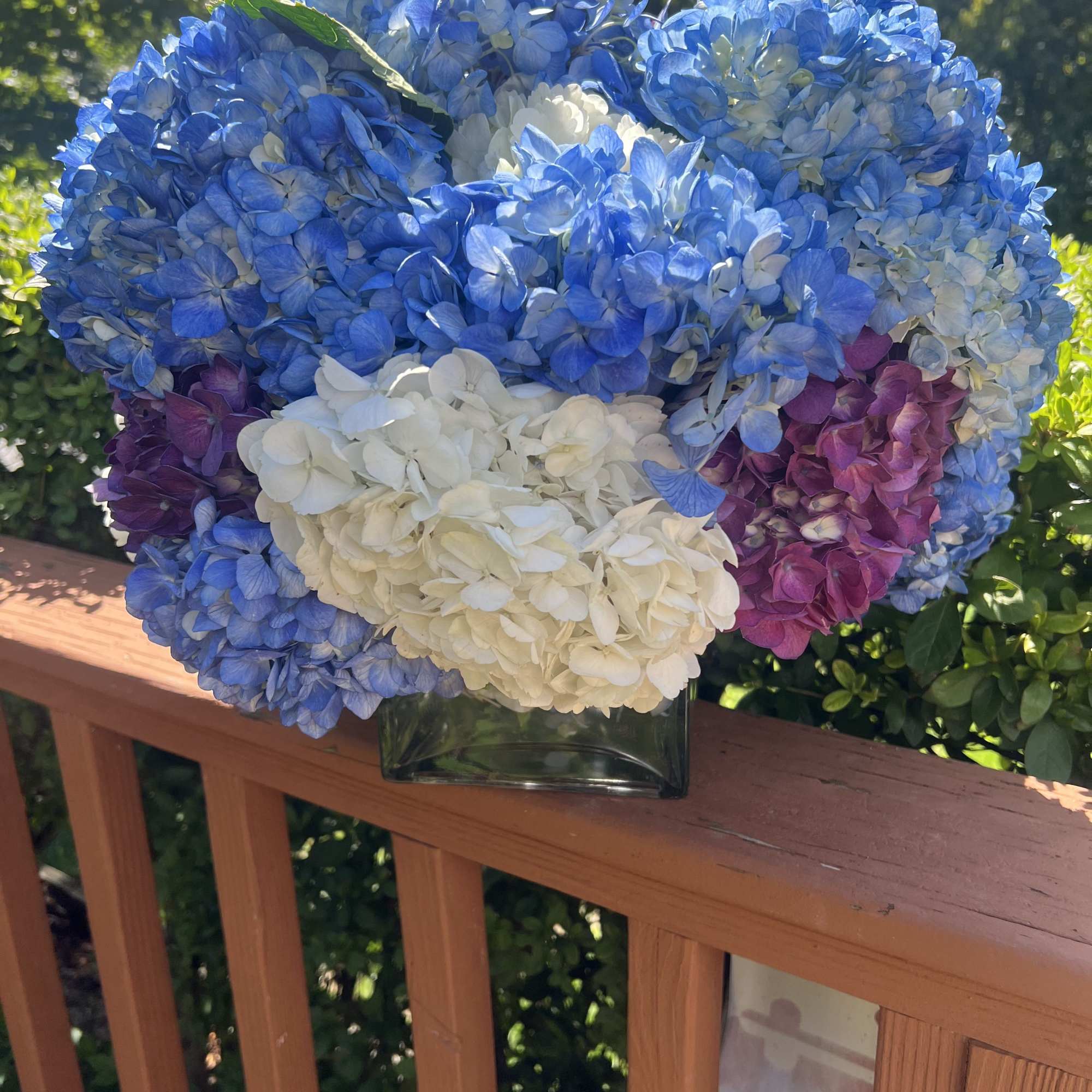 Premium hydrangeas, perfect for any occassion