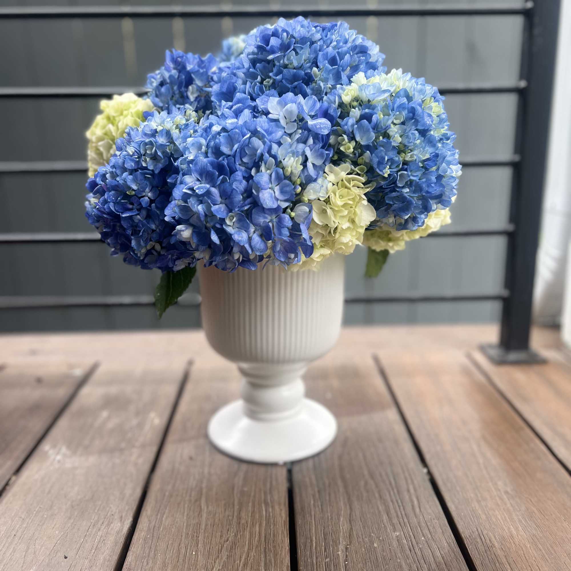 Premium hydrangeas, perfect for any occassion
