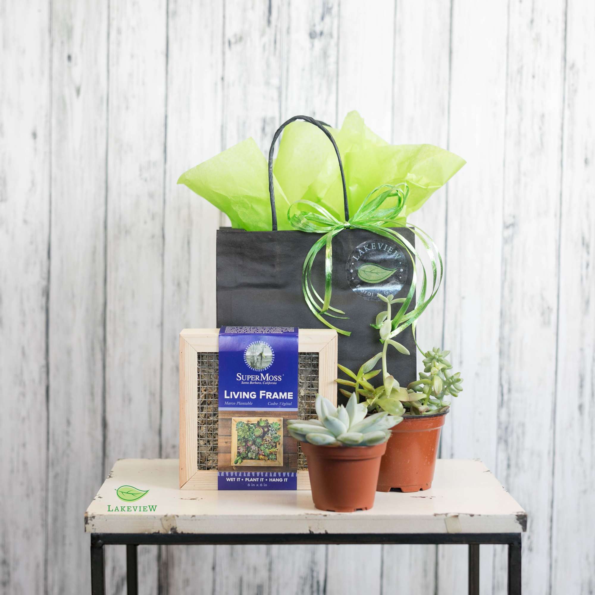Send someone their very own succulent shadowbox kit!  All you need