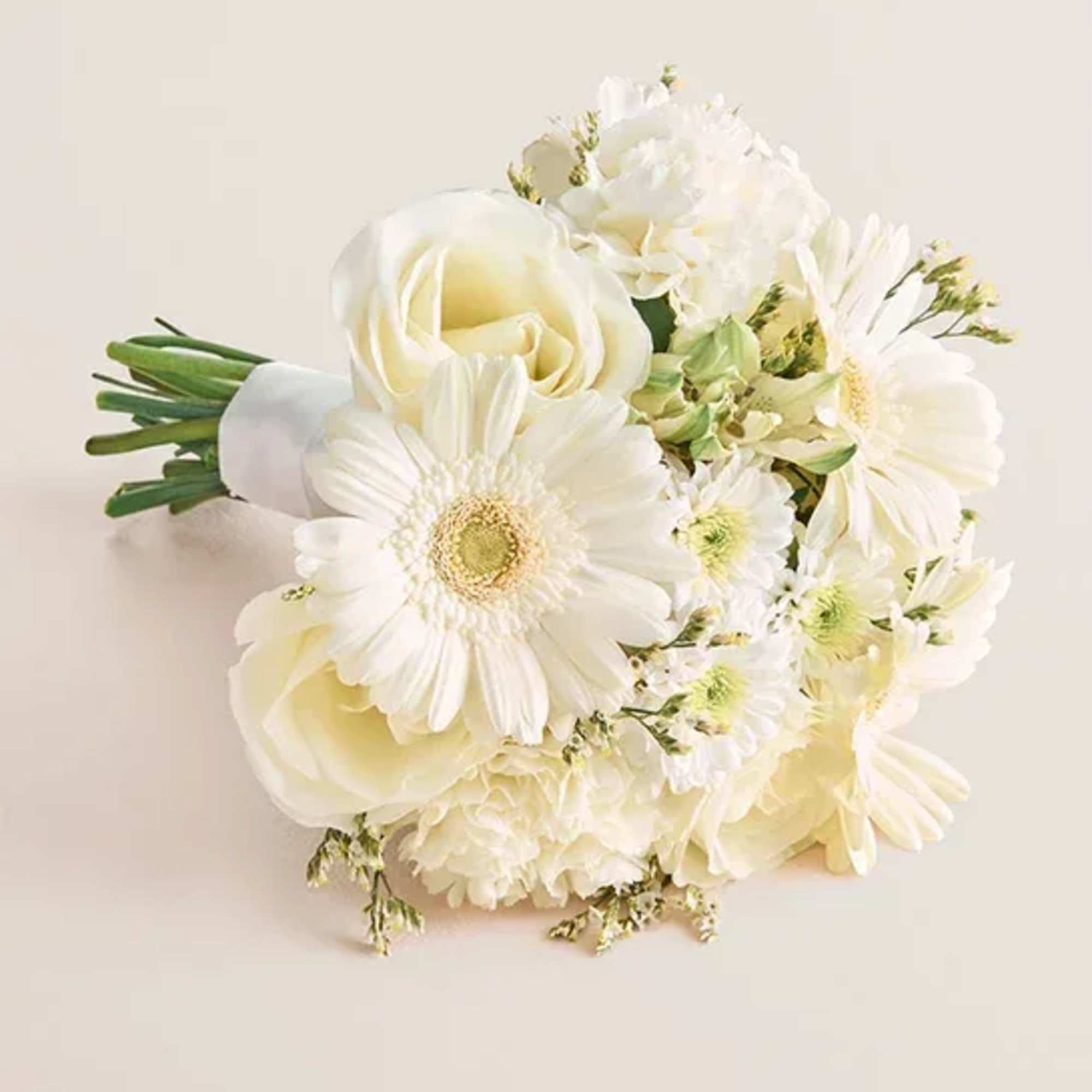
A radiant bridal bouquet in pure white, featuring elegant gerberas, ranunculus, and