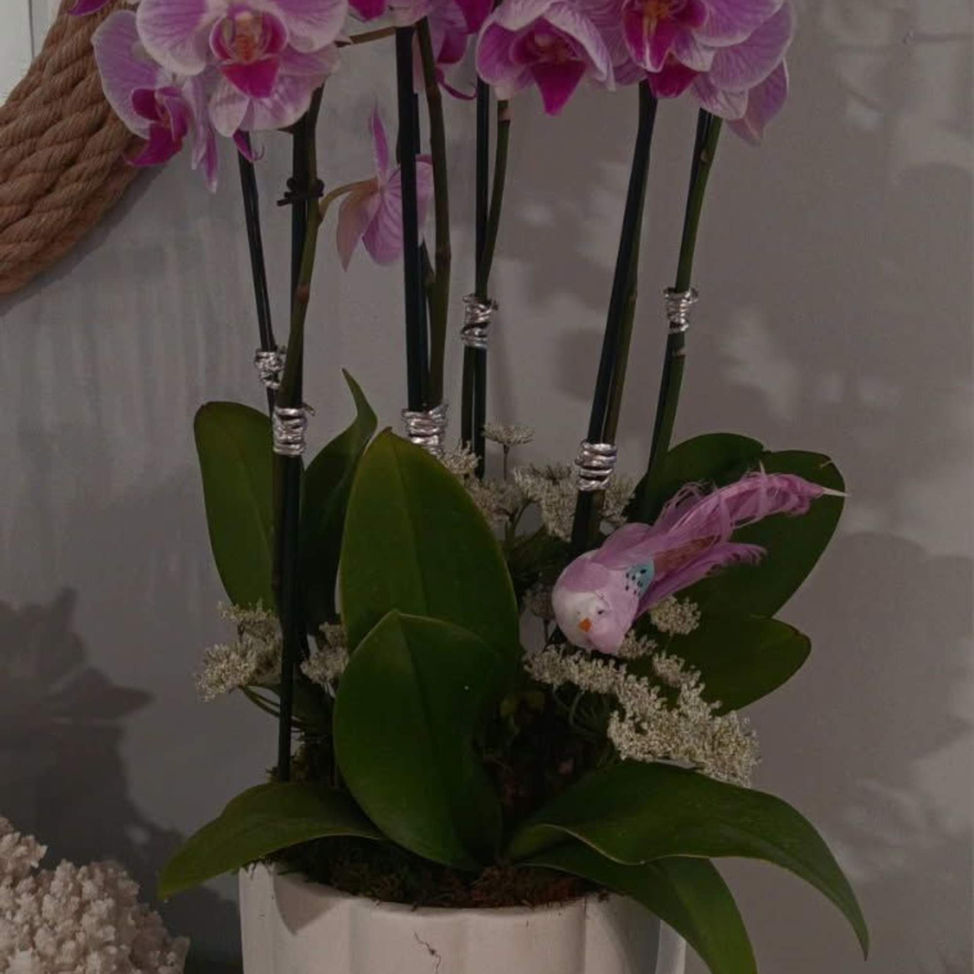 Orchid Arrangement. Each bloom, carefully selected, offers a mesmerizing display of nature&#039;s