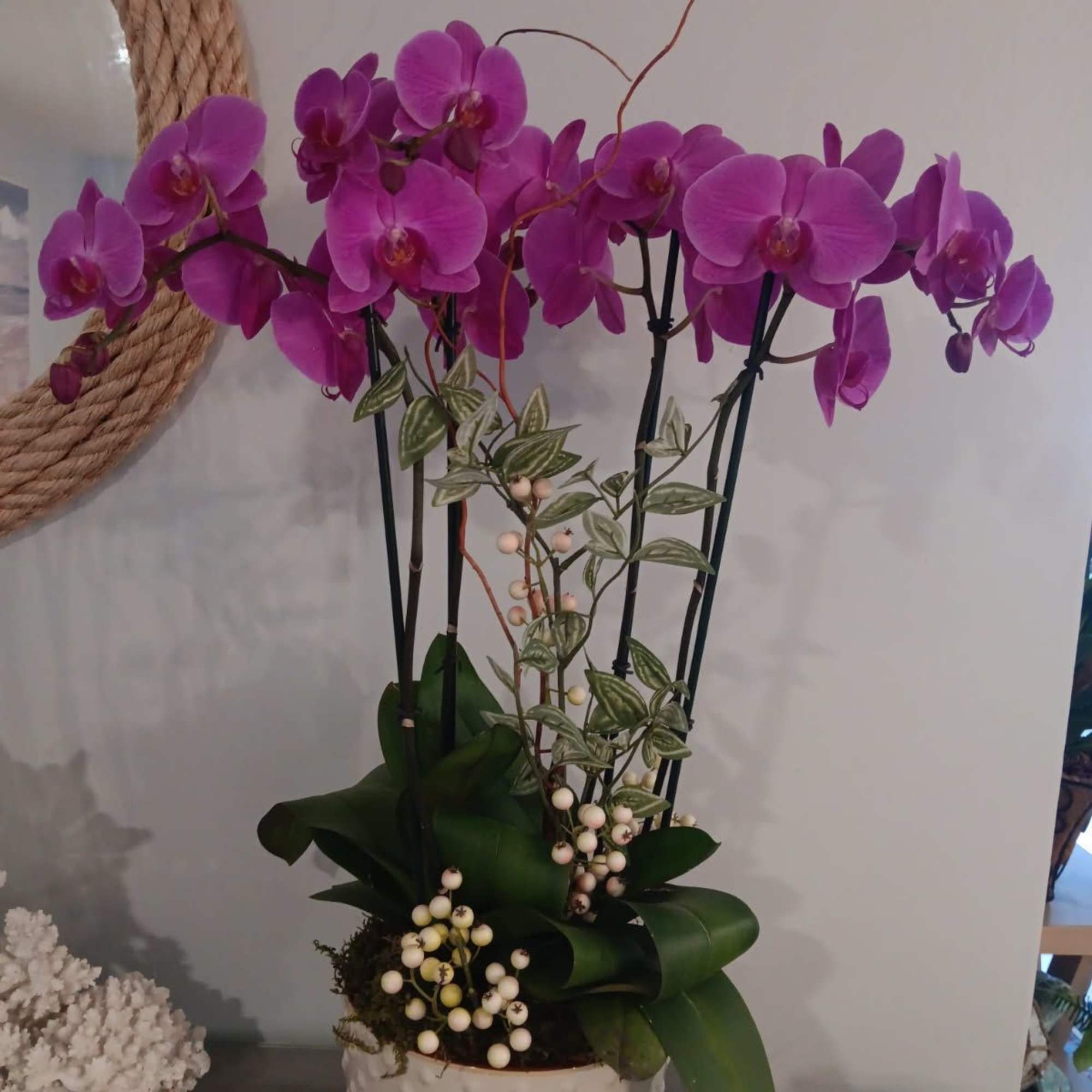 Orchid Arrangement. Each bloom, carefully selected, offers a mesmerizing display of nature&#039;s