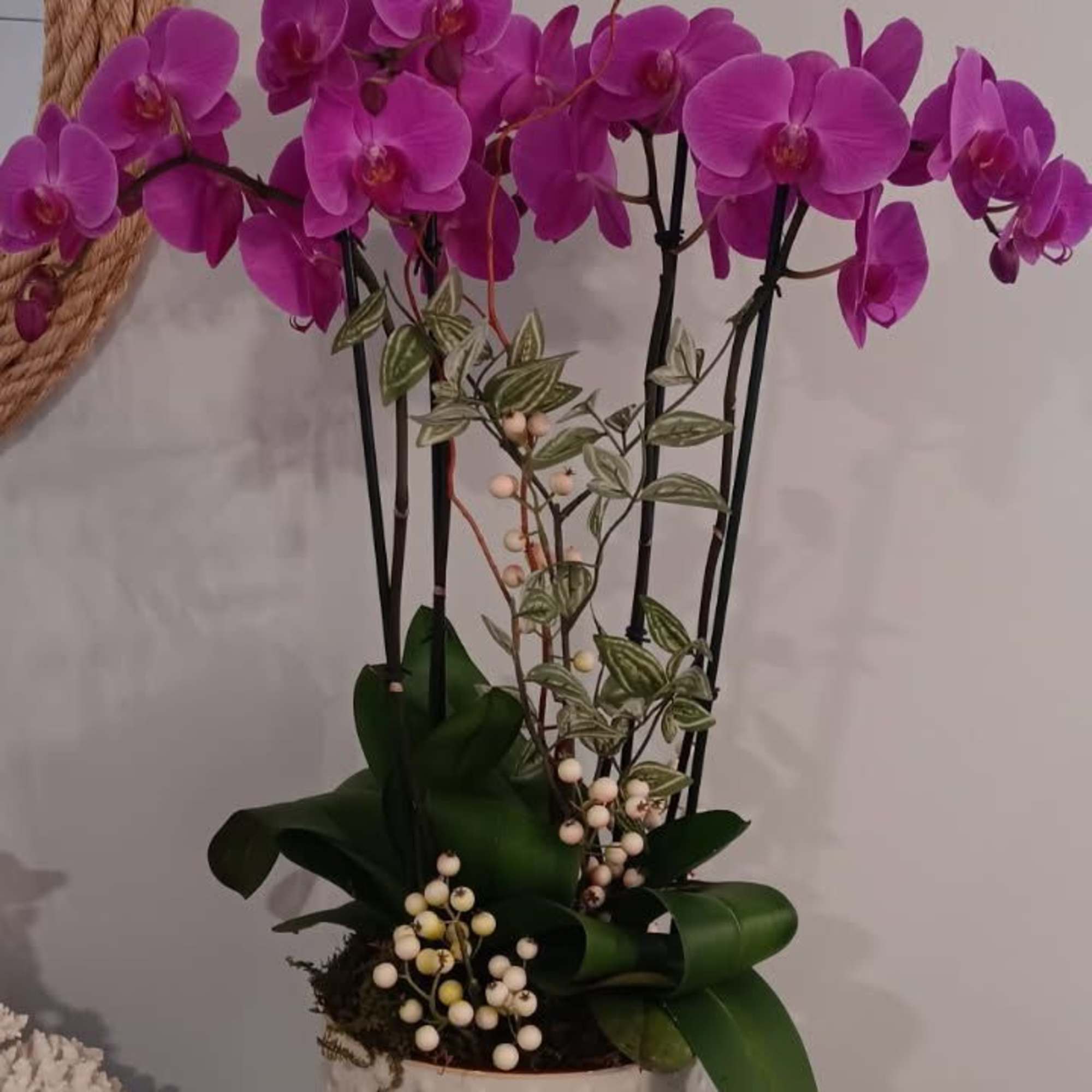 Orchid Arrangement. Each bloom, carefully selected, offers a mesmerizing display of nature&#039;s