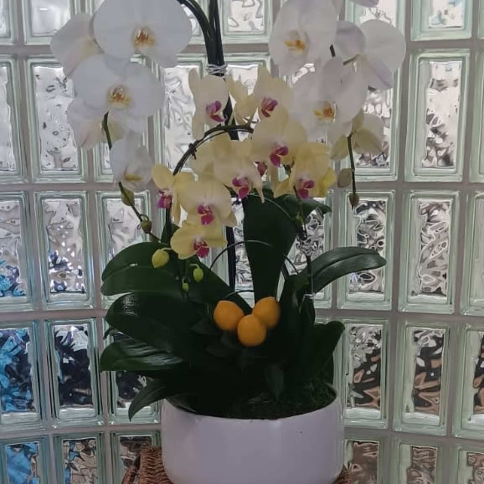 Orchid Arrangement. Each bloom, carefully selected, offers a mesmerizing display of nature&#039;s