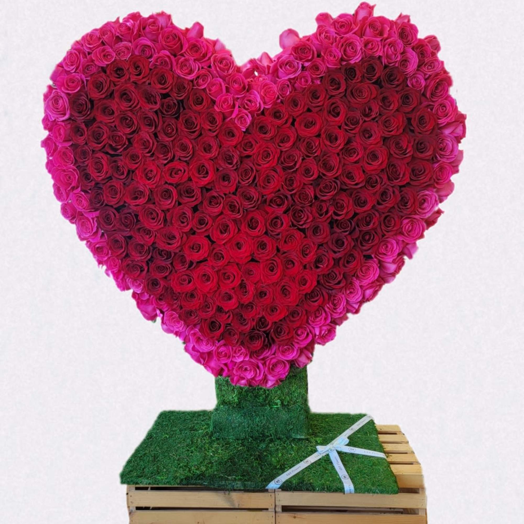Grand 4-Foot Tall Rose Heart Arrangement
Make a bold and breathtaking statement with Grand 4-Foot Tall Rose Heart Arrangement
Make a bold and breathtaking statement with