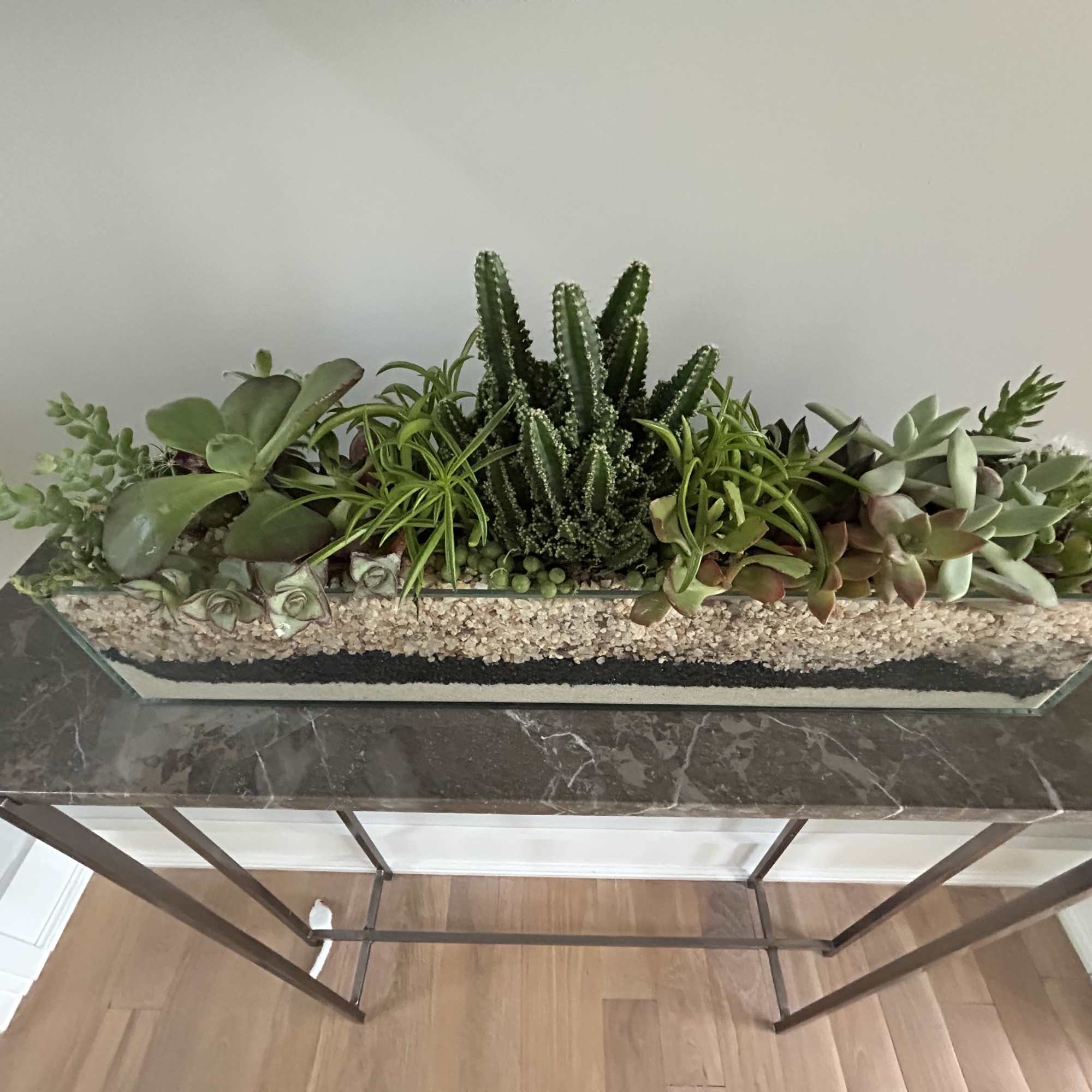 Just what it sounds like but more beautiful.  The sleek succulent