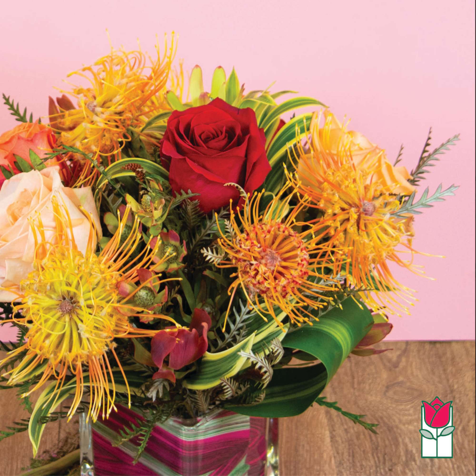 Approx. size: 8&quot; High x 8&quot; Wide
Size category: Compact Size, perfect for